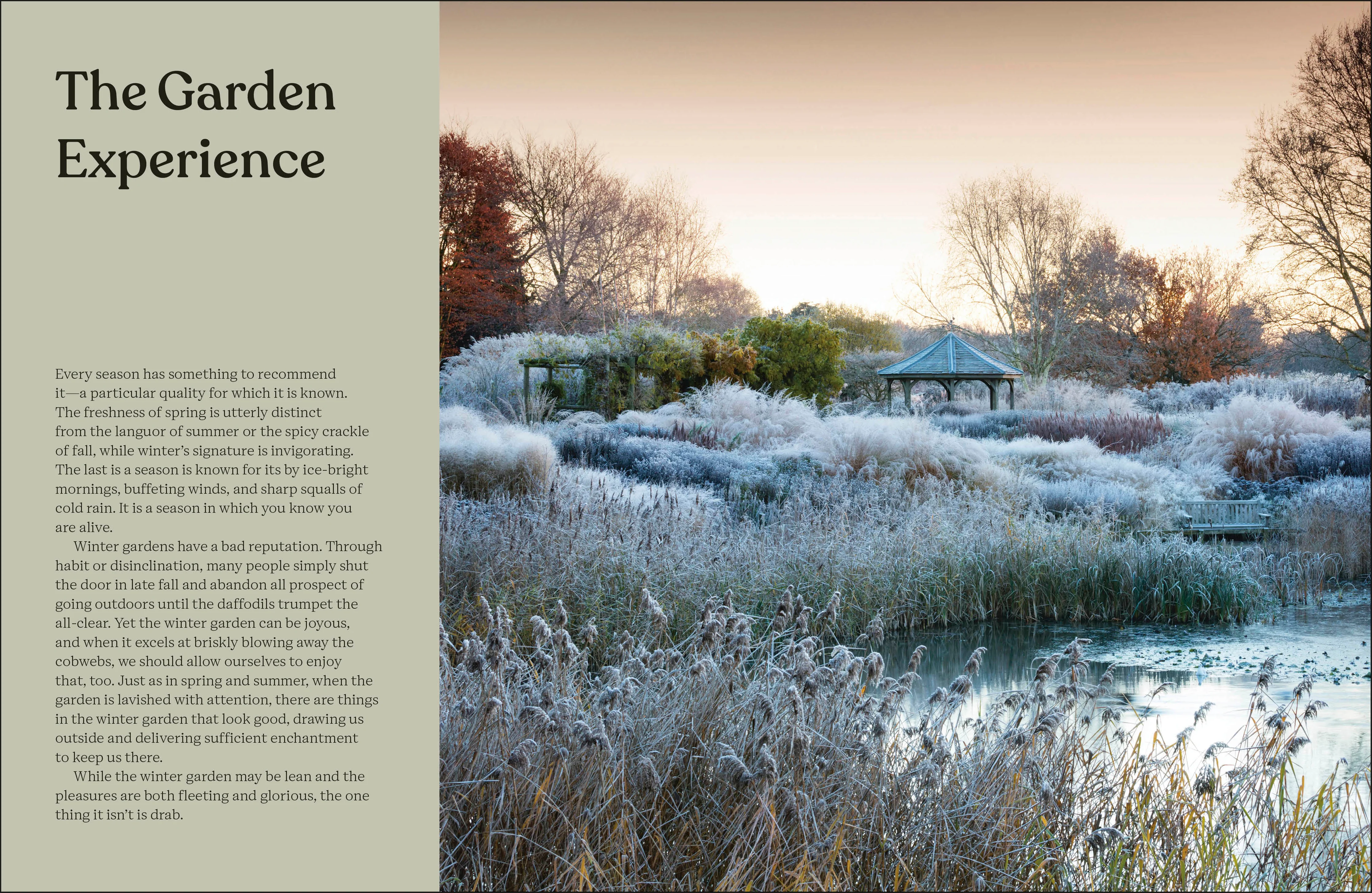 The Winter Garden - Image 3