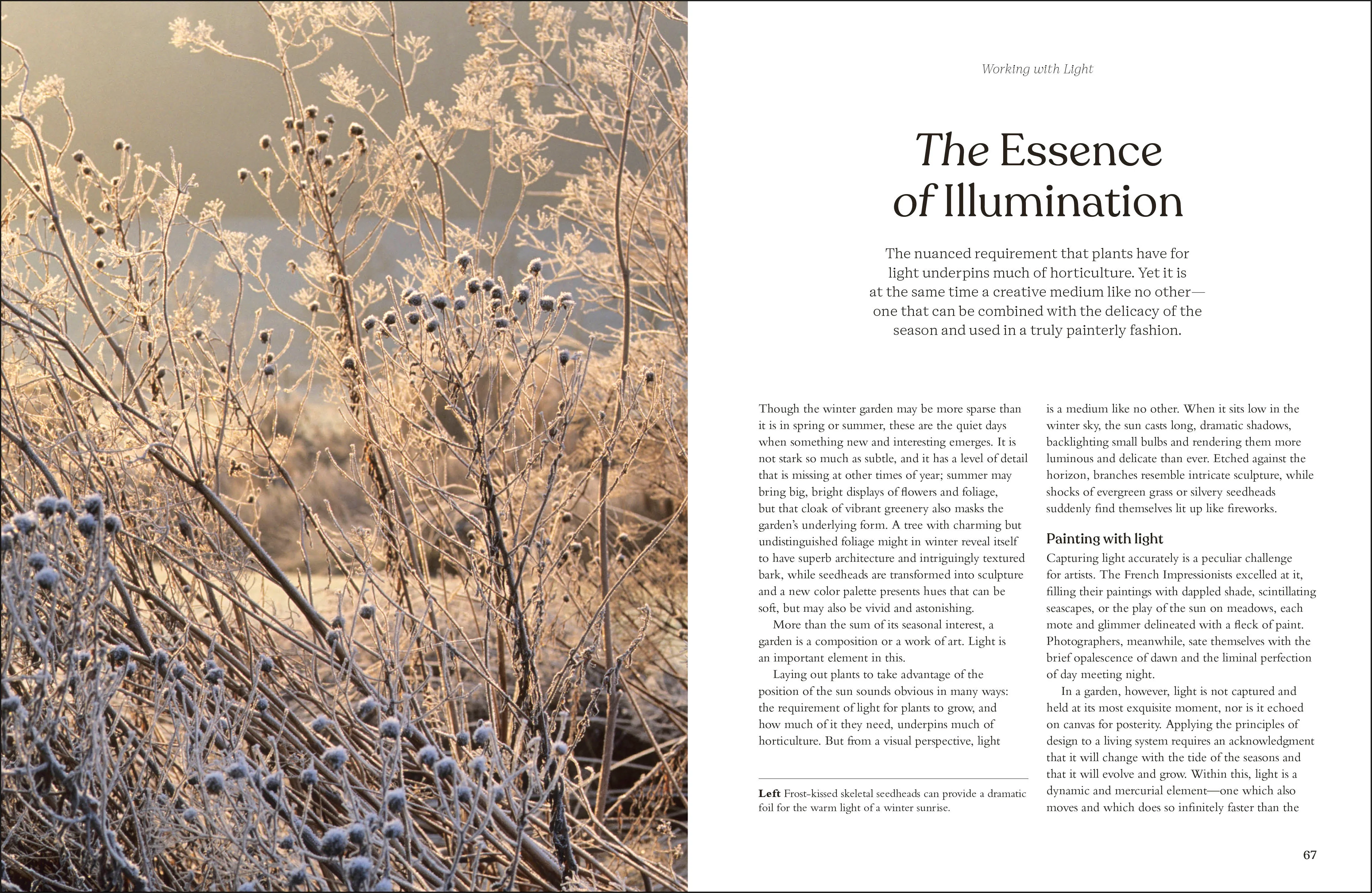 The Winter Garden - Image 4