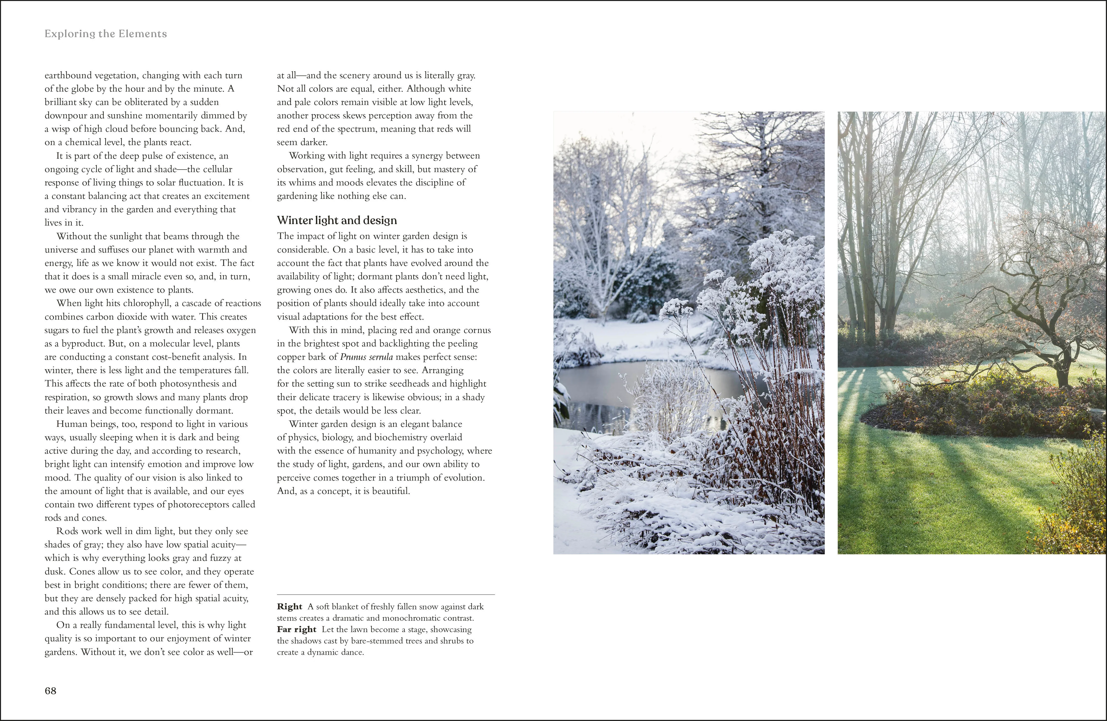The Winter Garden - Image 5