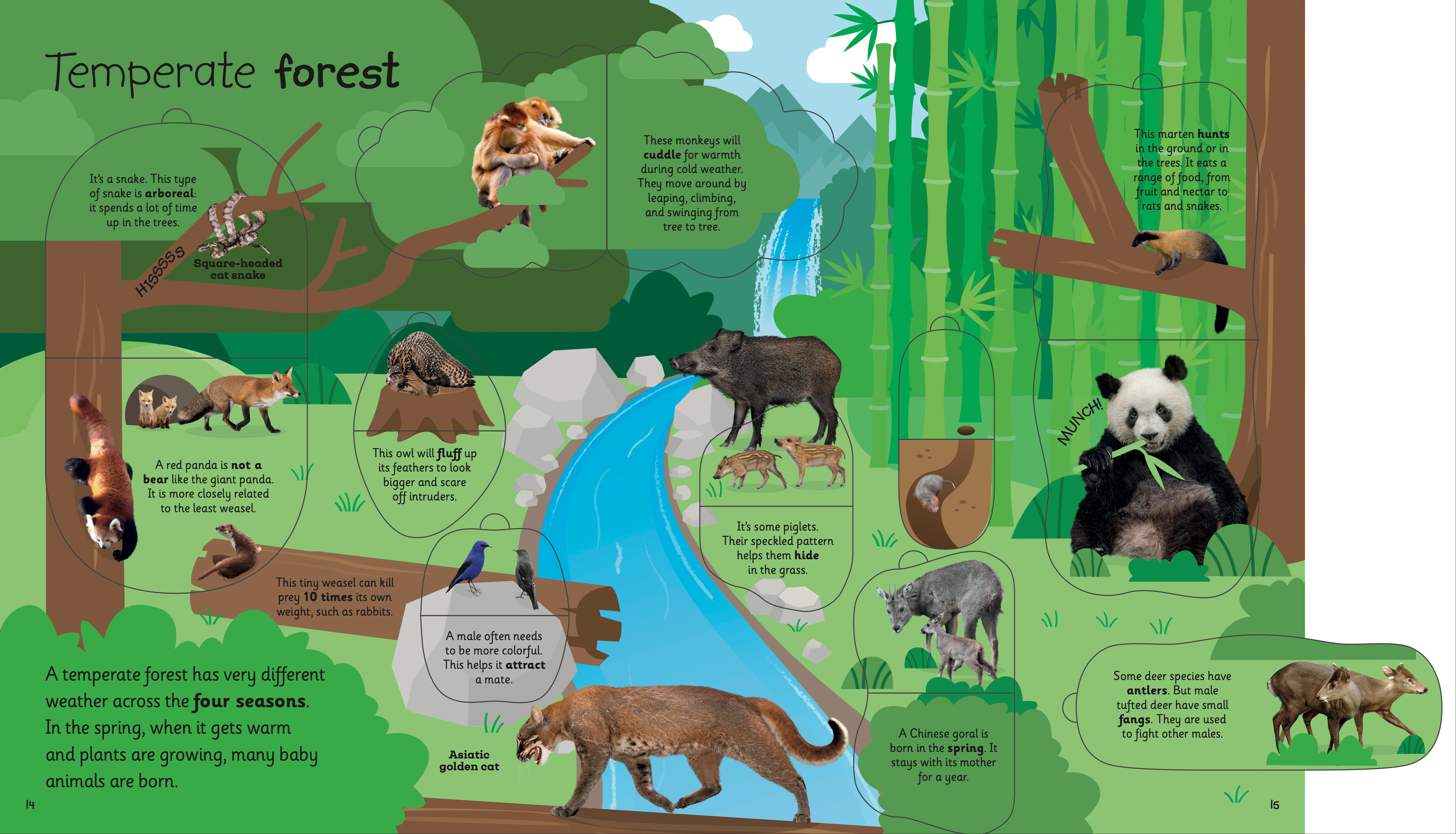 My Very Important Lift-the-Flap Book: Animals - Image 4
