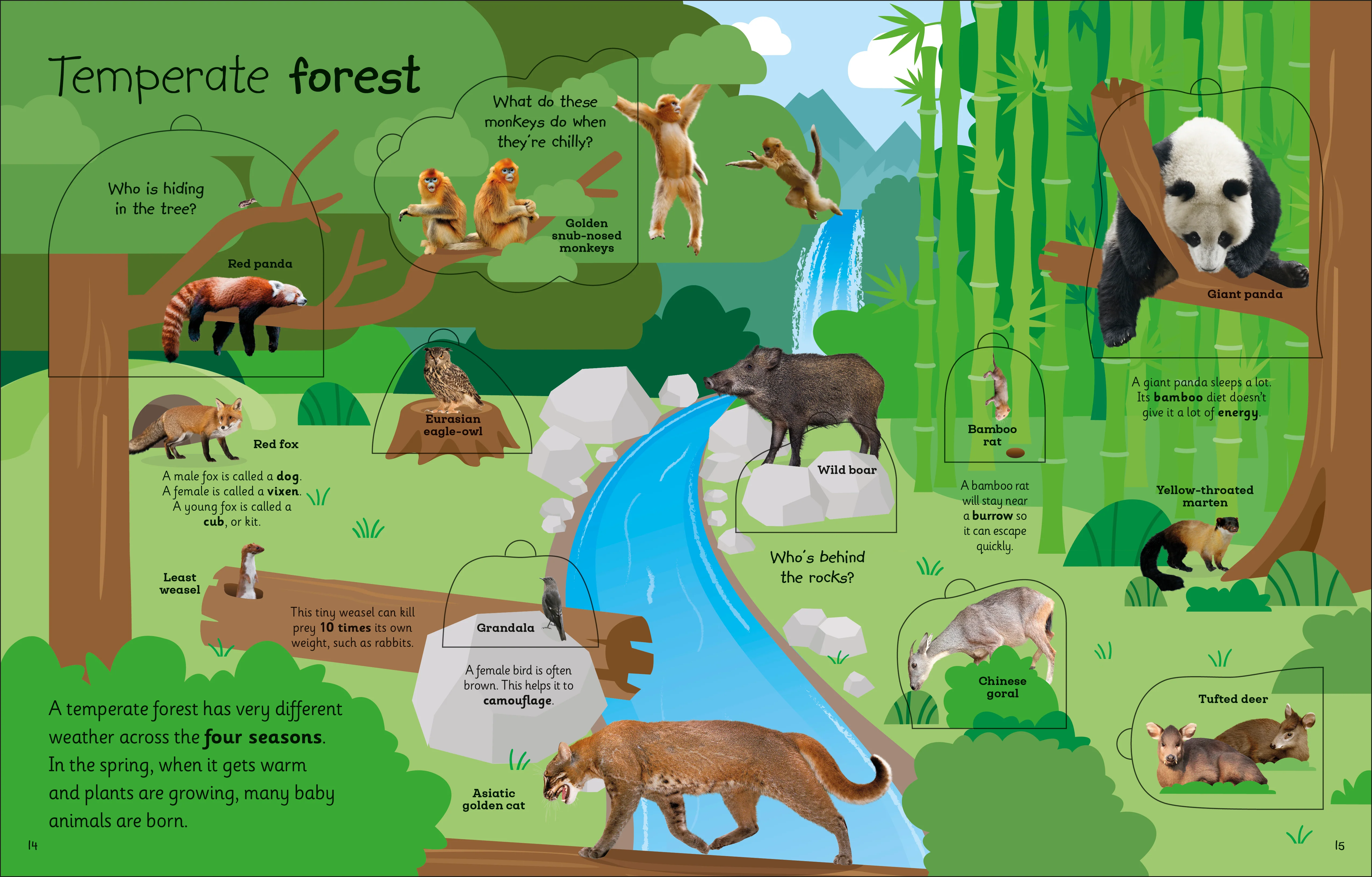 My Very Important Lift-the-Flap Book: Animals - Image 6