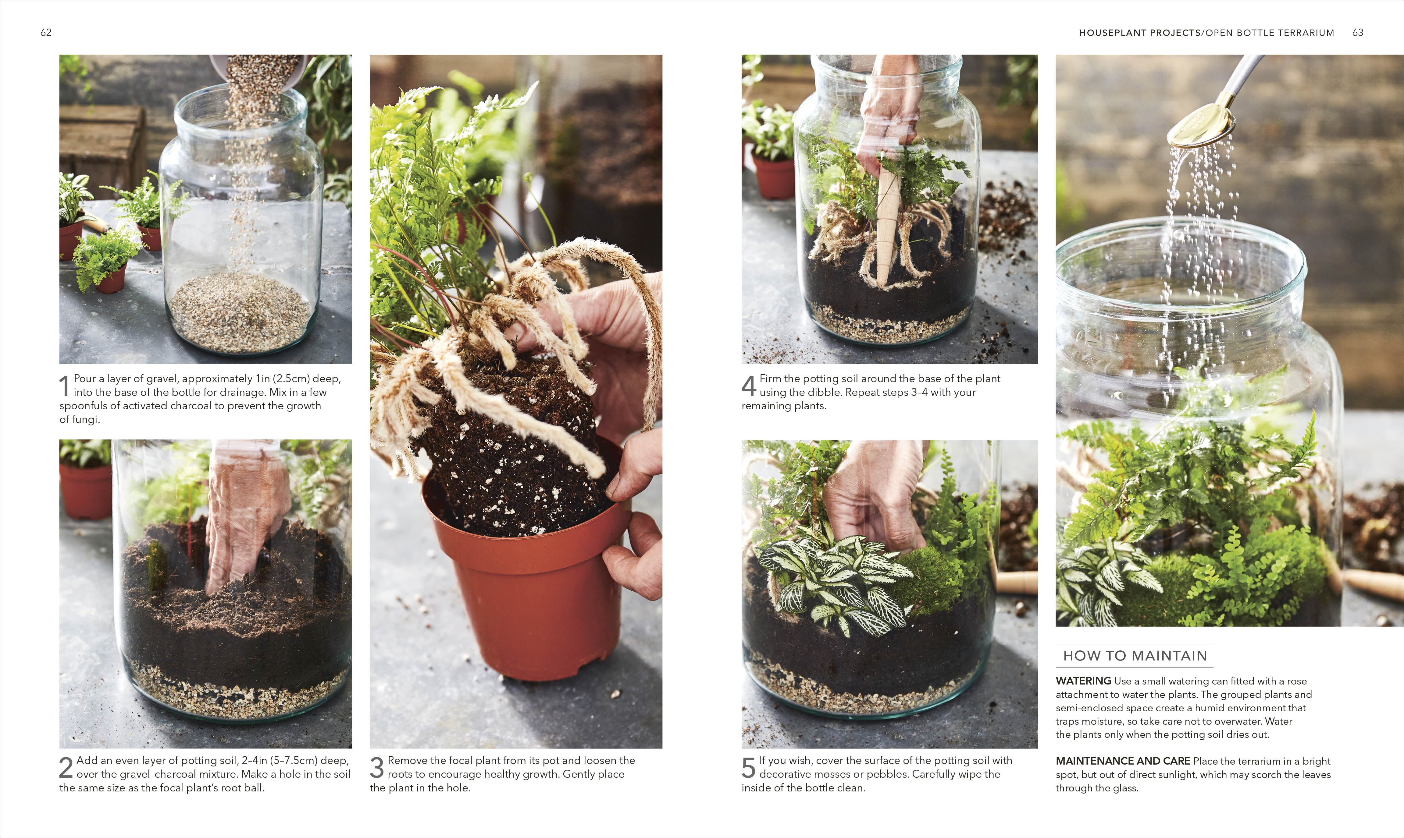 Houseplant - Image 4