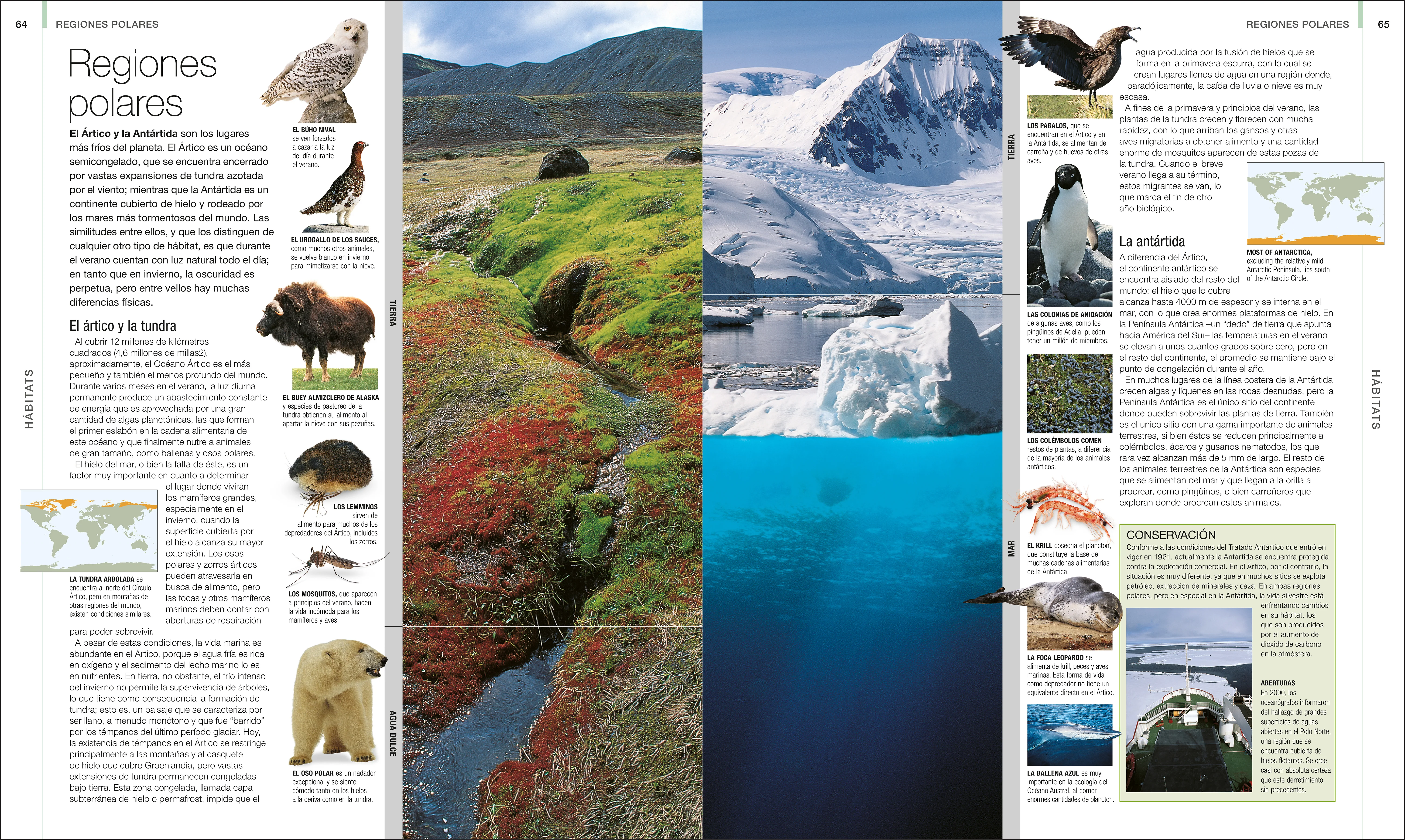 Animal (Spanish edition) - Image 2