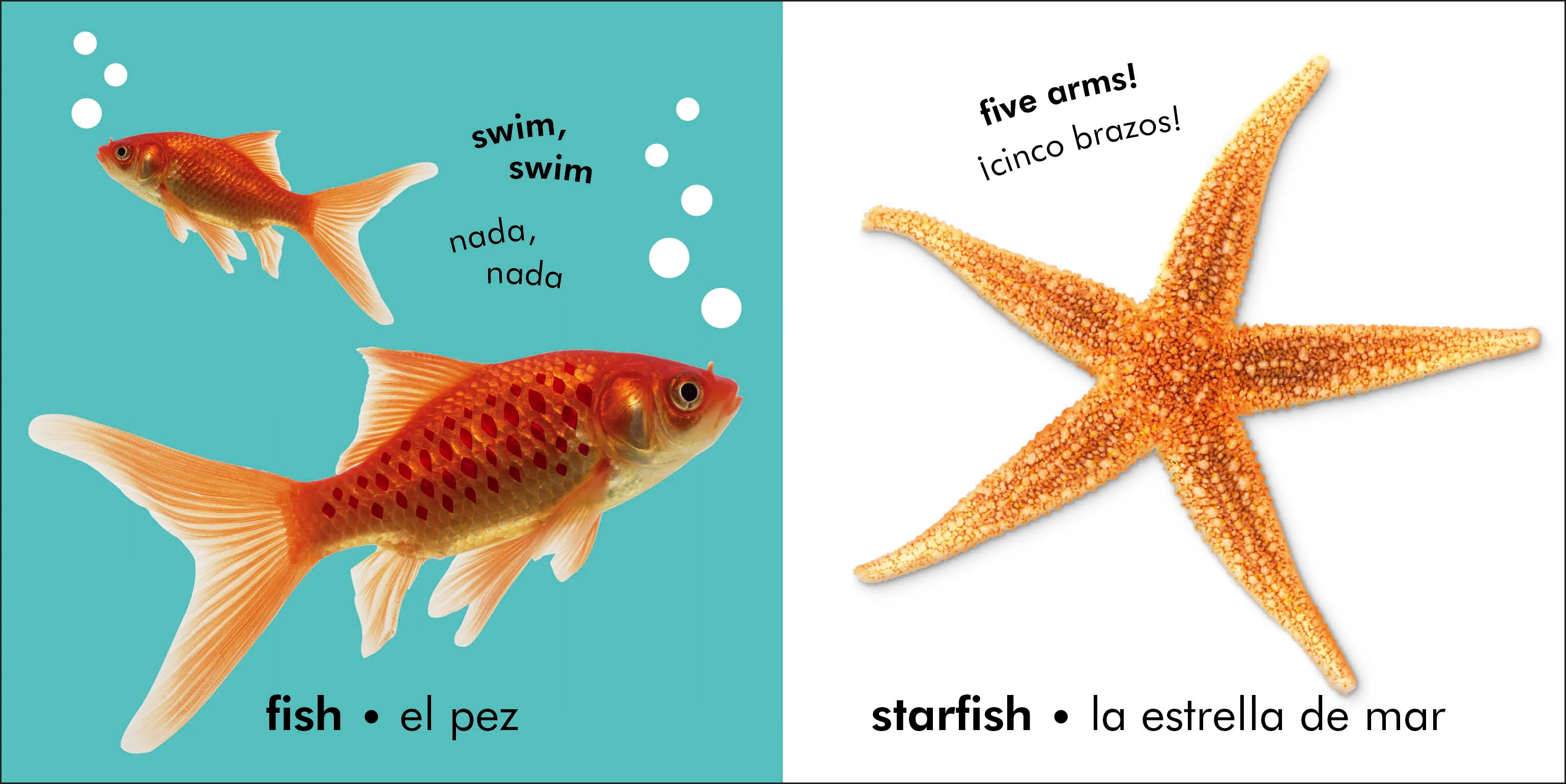 Bilingual Baby Touch and Feel: Animals - Los animales - Image 5