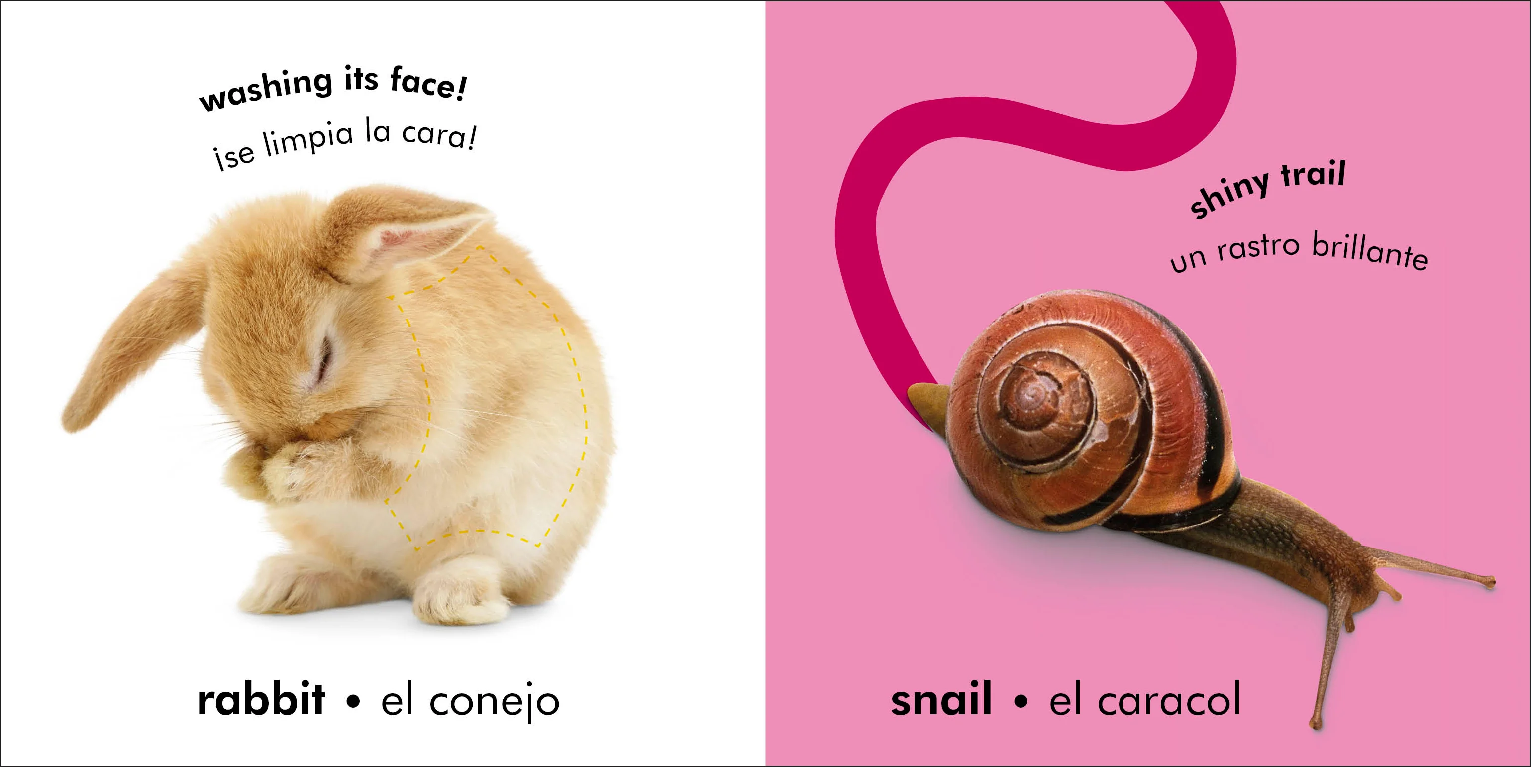 Bilingual Baby Touch and Feel: Animals - Los animales - Image 6