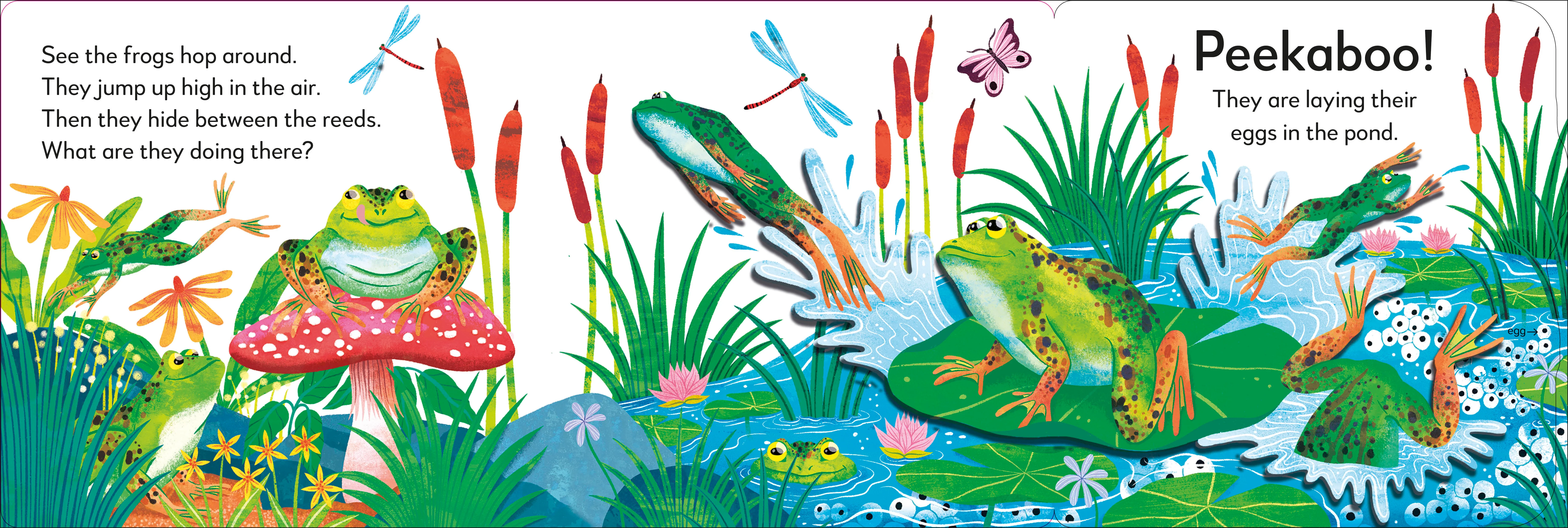 Pop-Up Peekaboo! Frog - Image 3