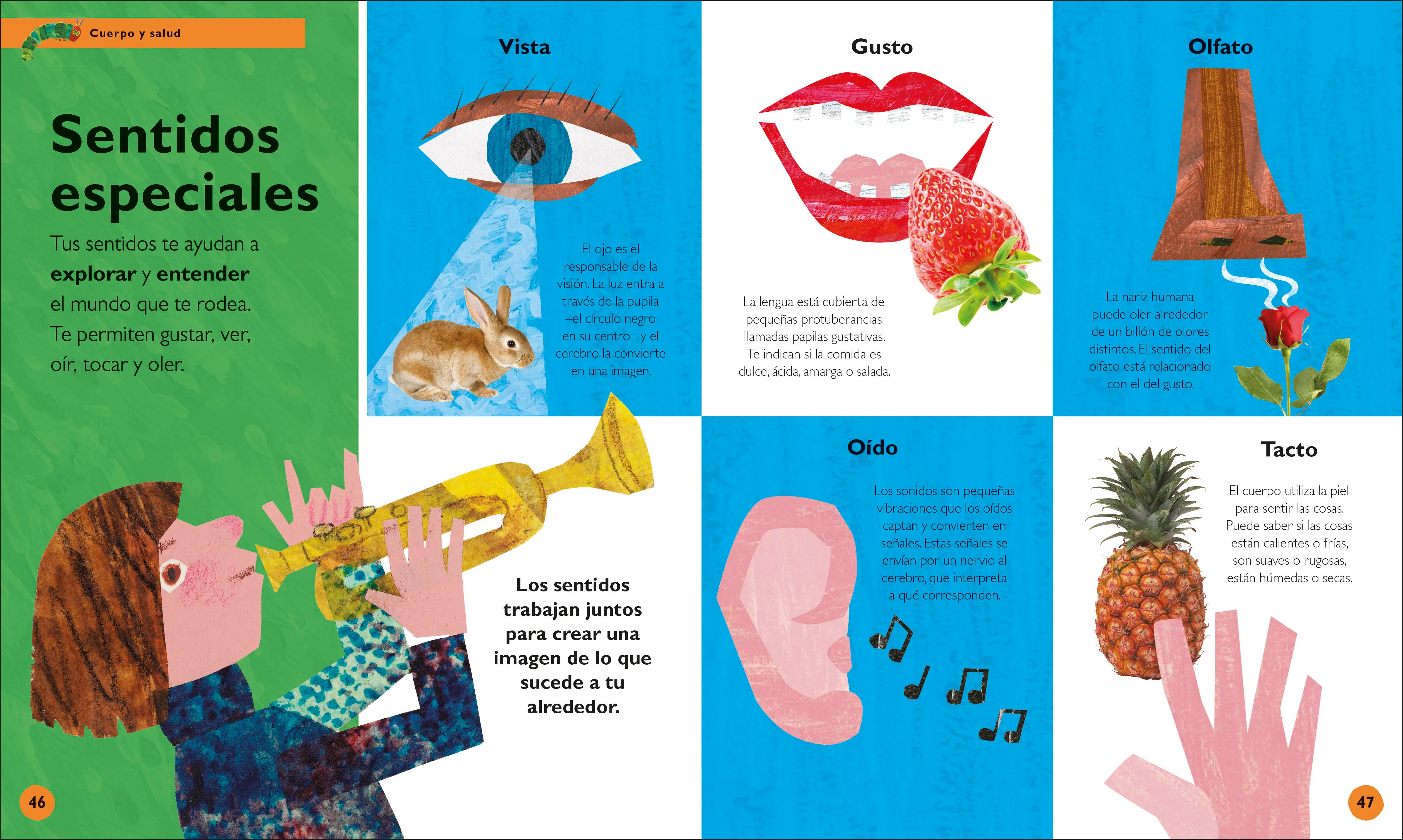 La oruga muy hambrienta: Mi primera enciclopedia (The Very Hungry Caterpillar's Very First Encyclopedia) - Image 4