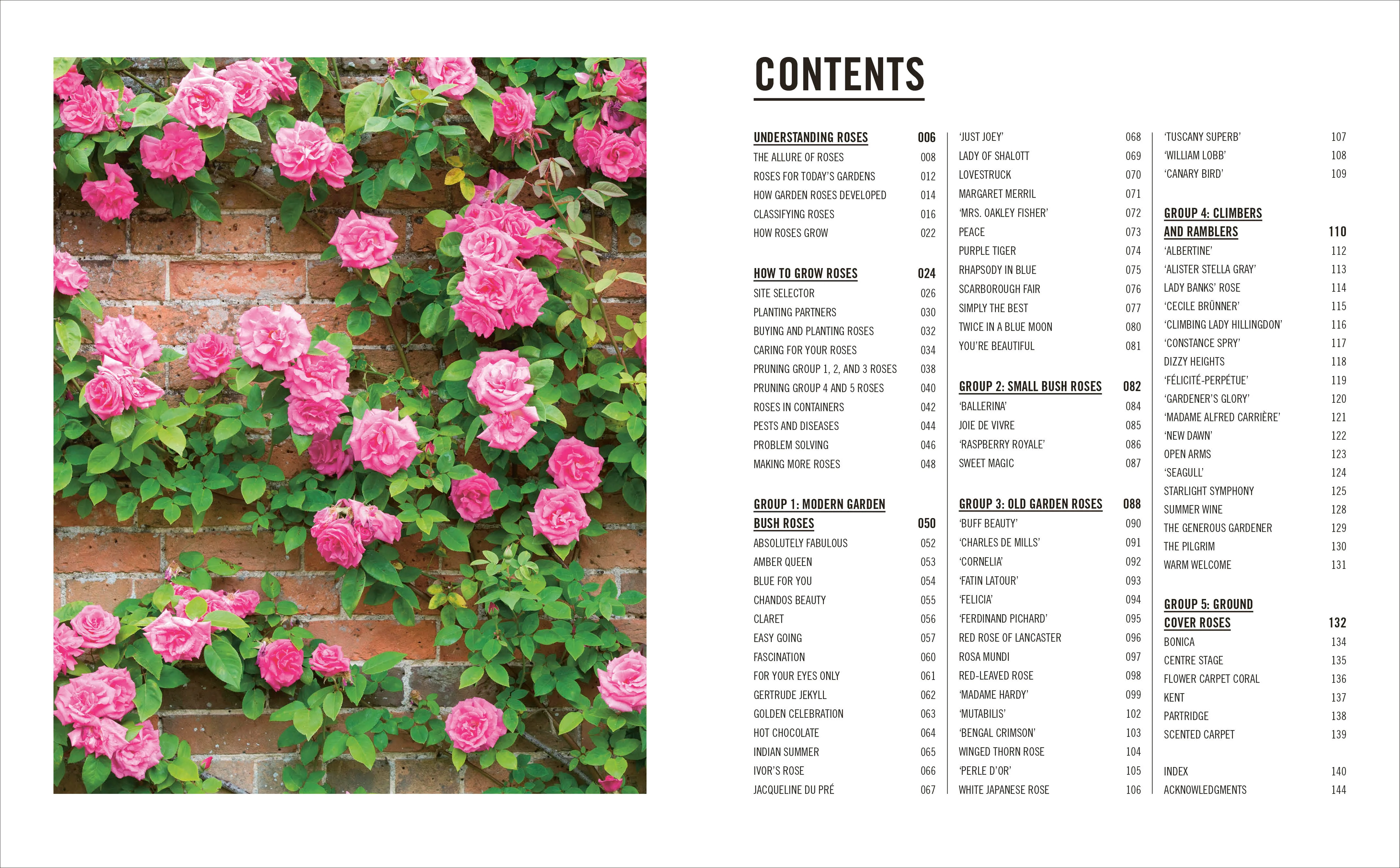 Grow Roses - Image 2