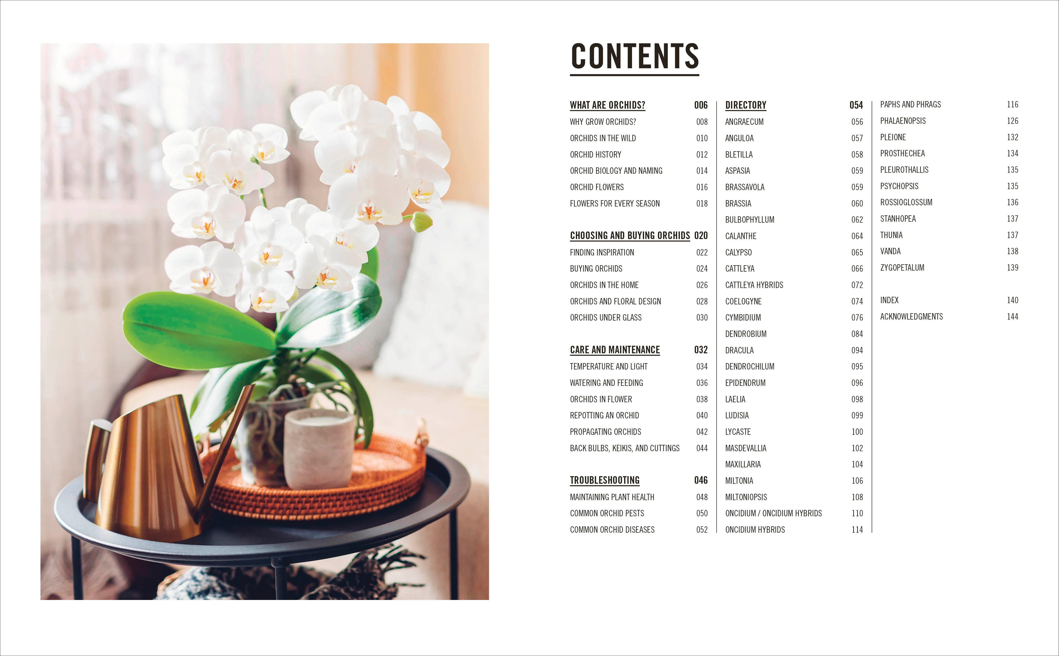 Grow Orchids - Image 2