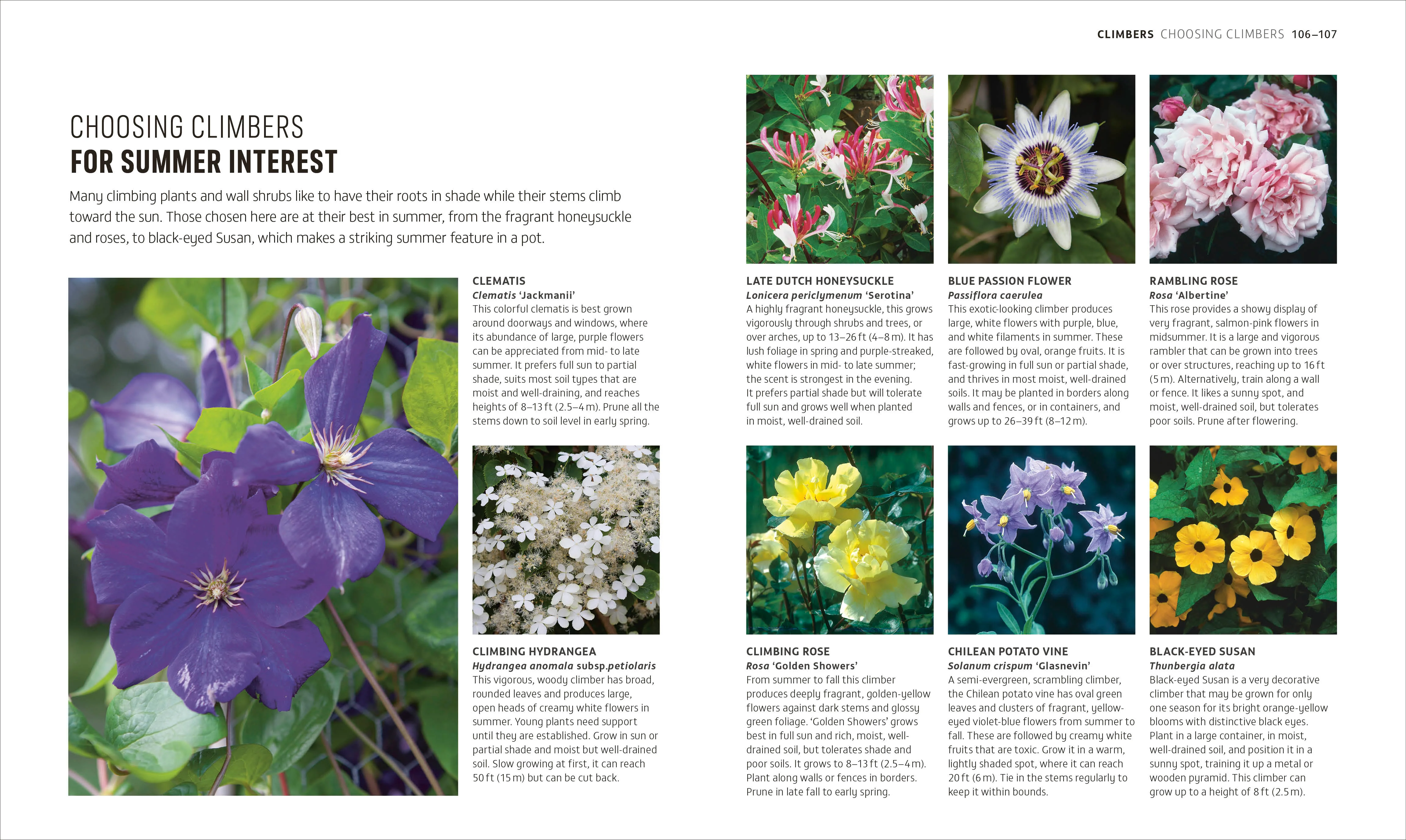 Beginner Gardening Step by Step - Image 4