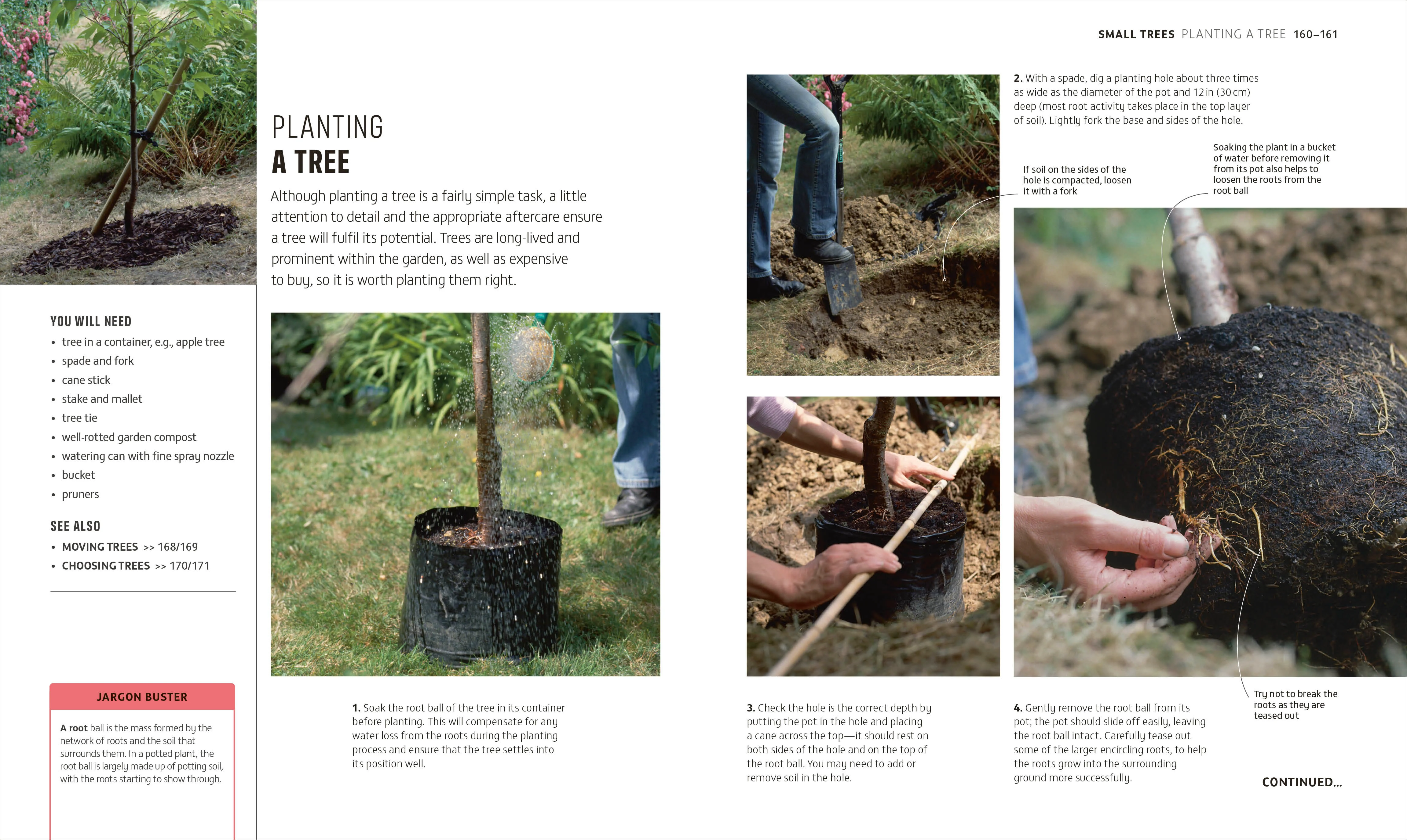 Beginner Gardening Step by Step - Image 5