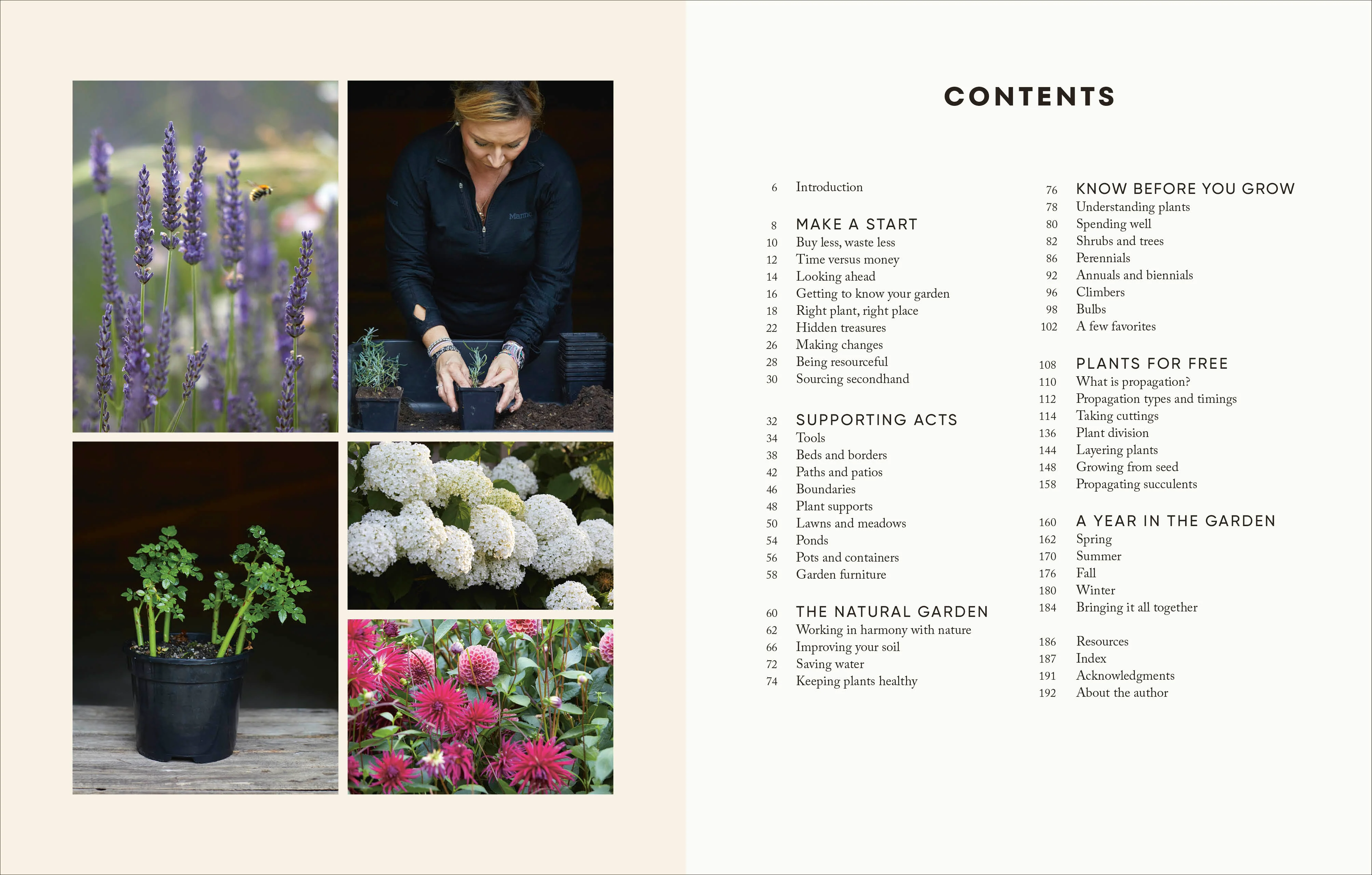 The Money-Saving Gardener - Image 2