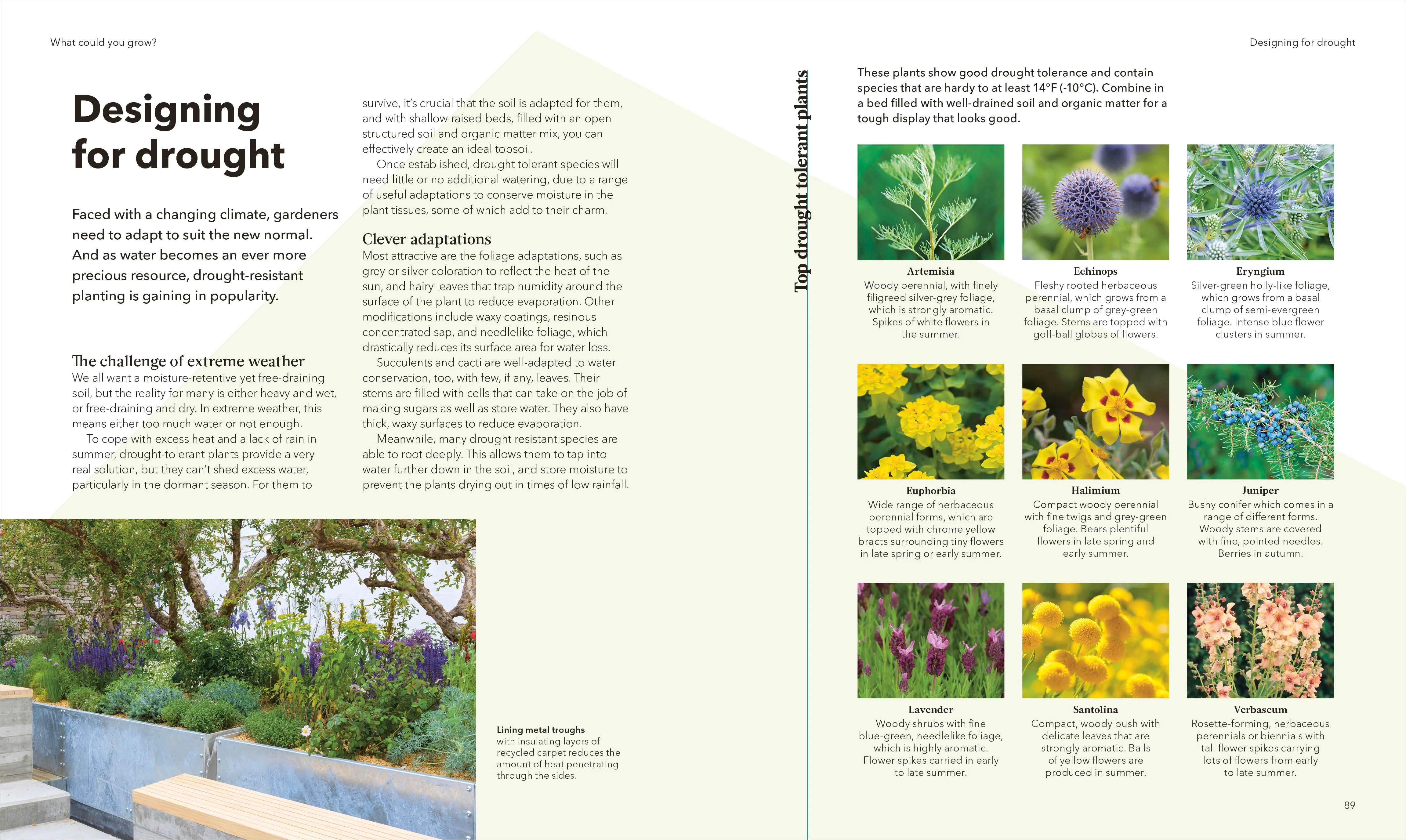 The Raised Bed Book - Image 4