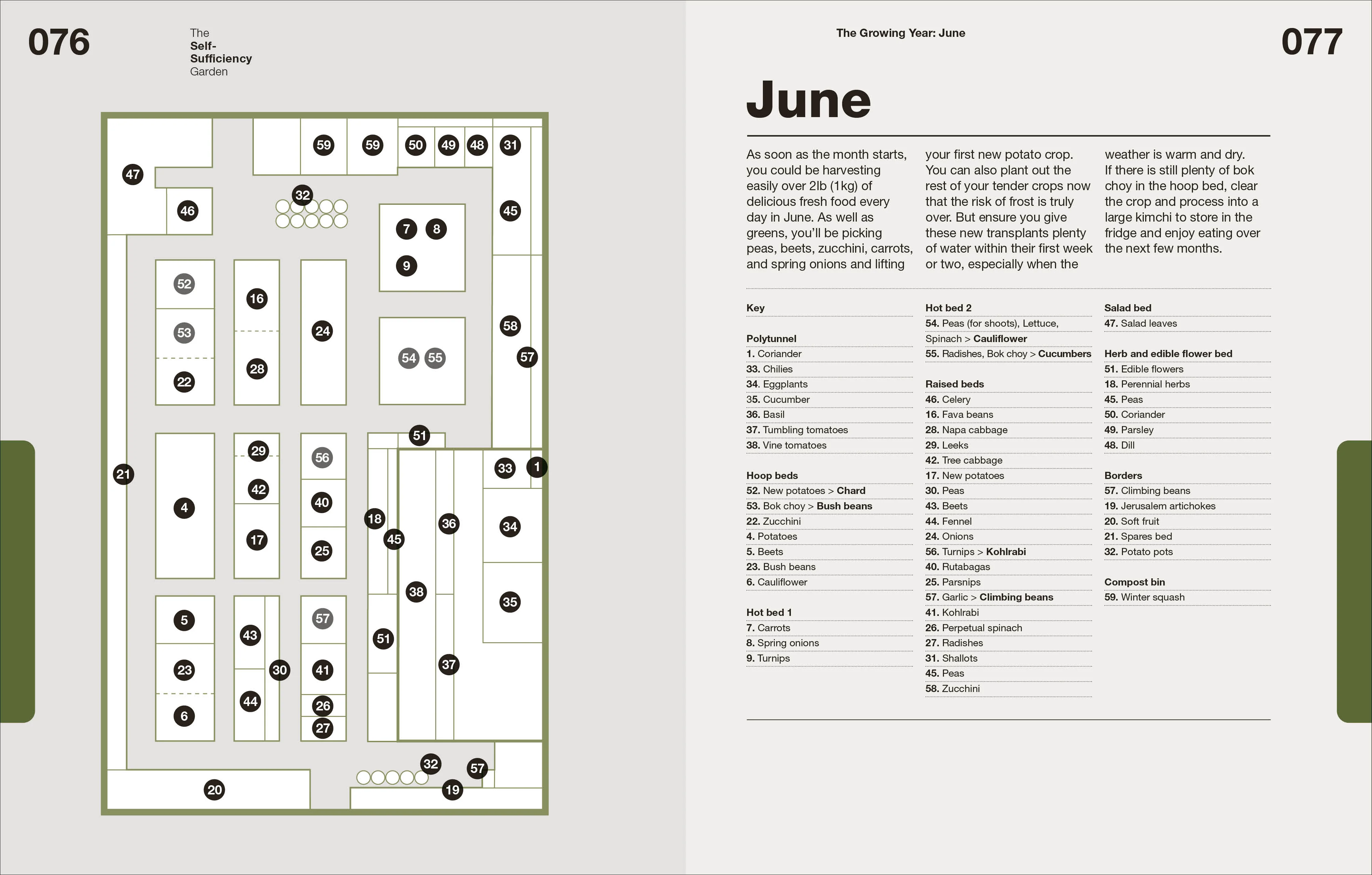 The Self-Sufficiency Garden - Image 5