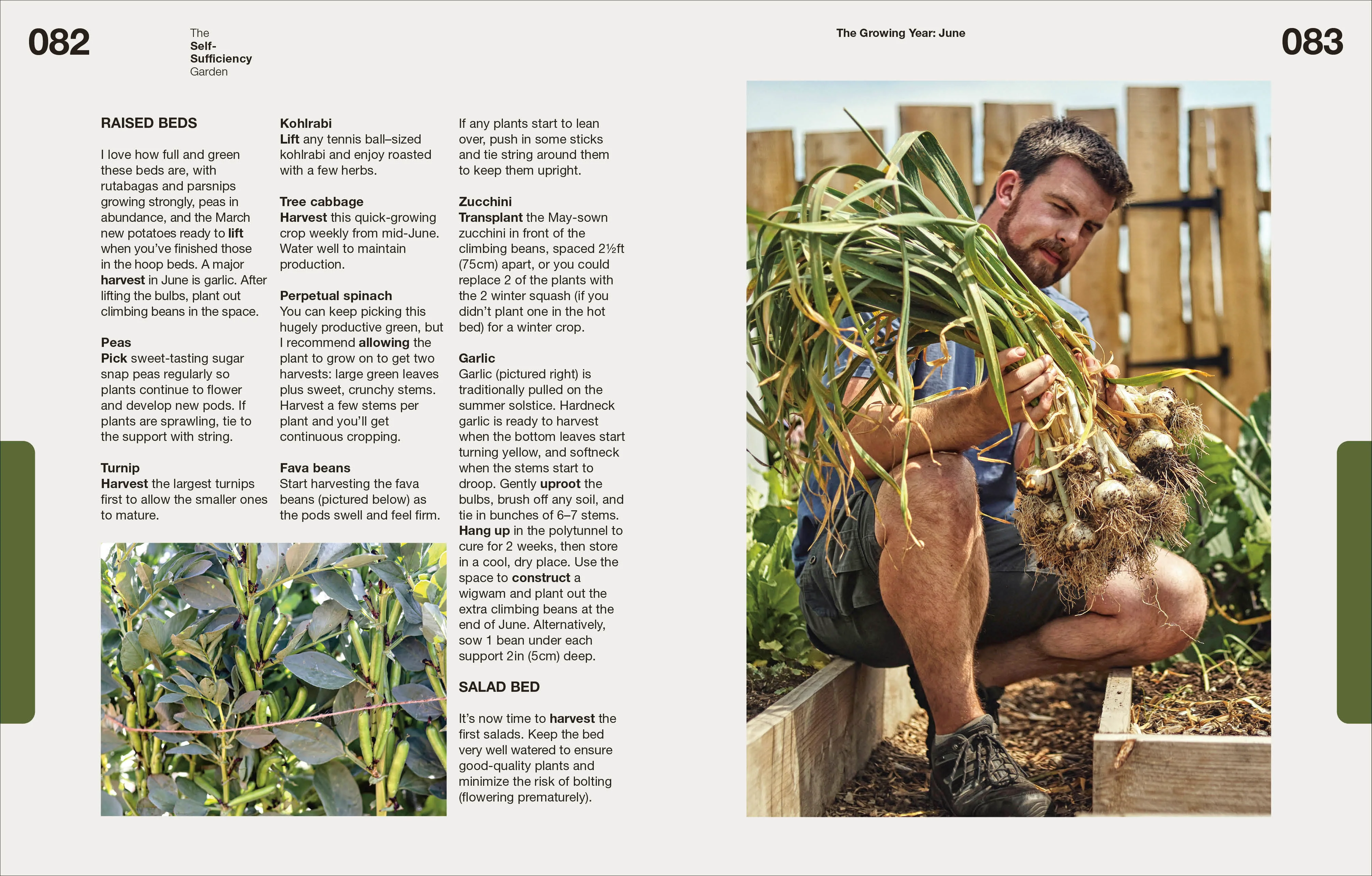 The Self-Sufficiency Garden - Image 6