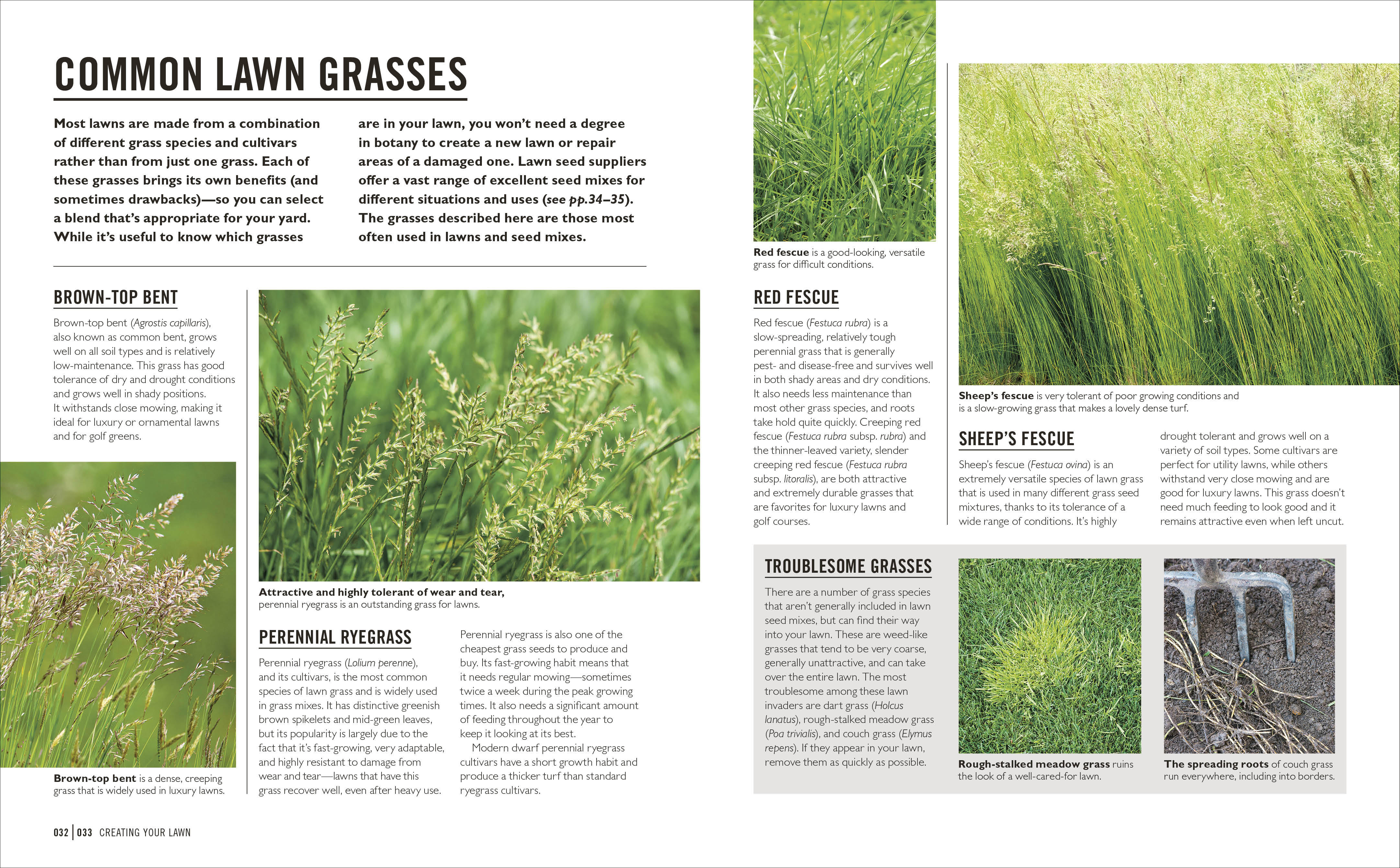 Grow Lawns - Image 3