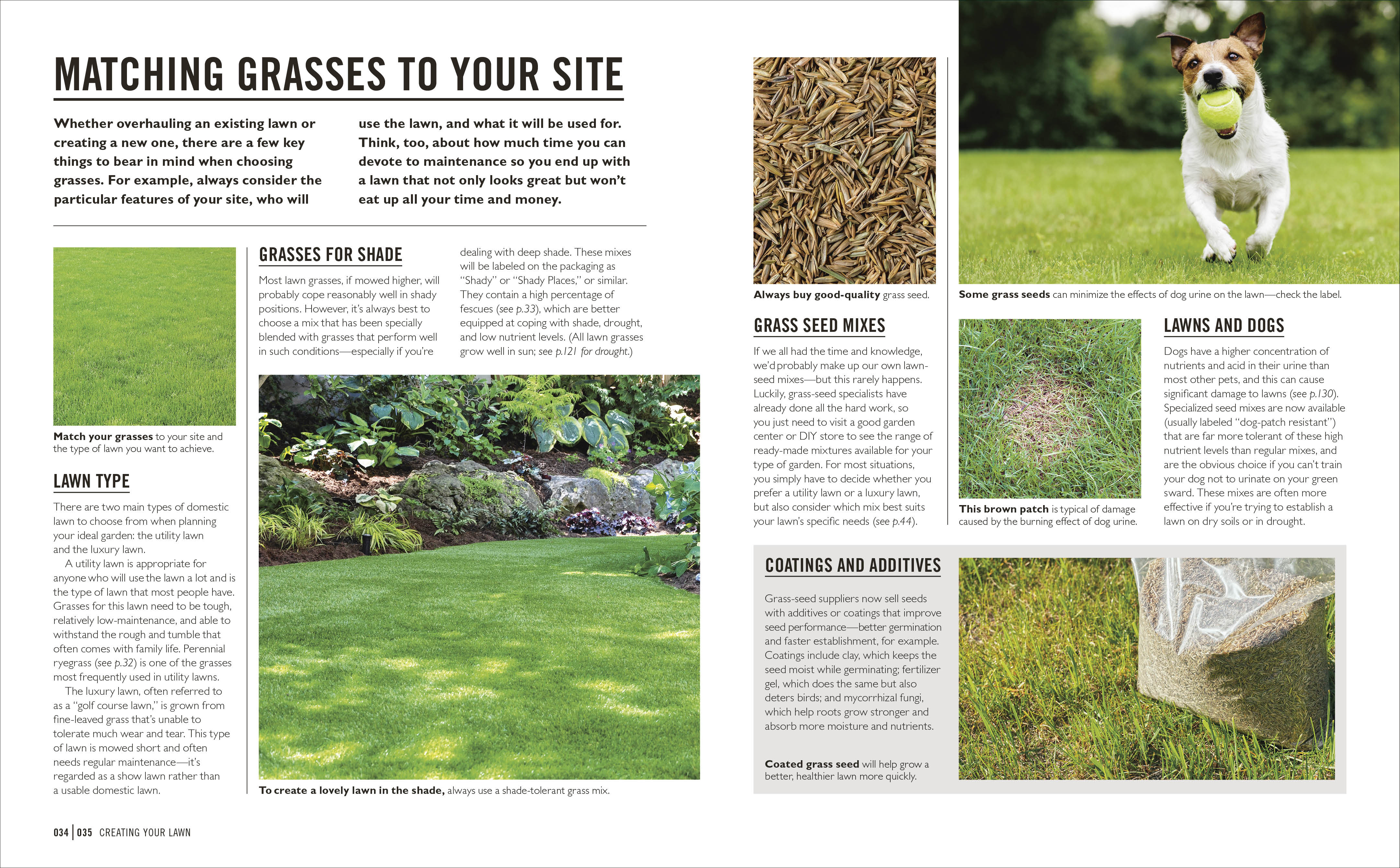 Grow Lawns - Image 4