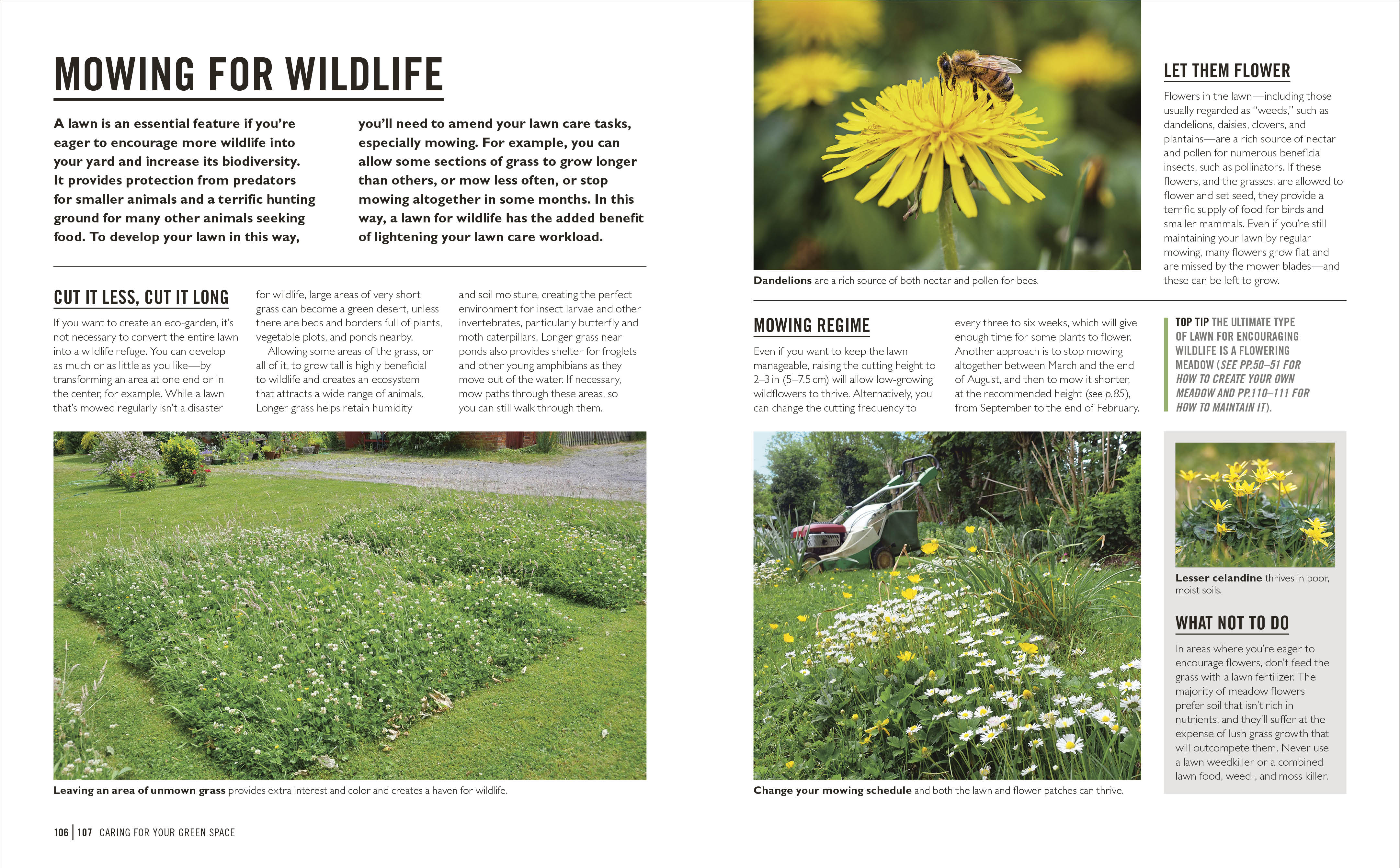 Grow Lawns - Image 7