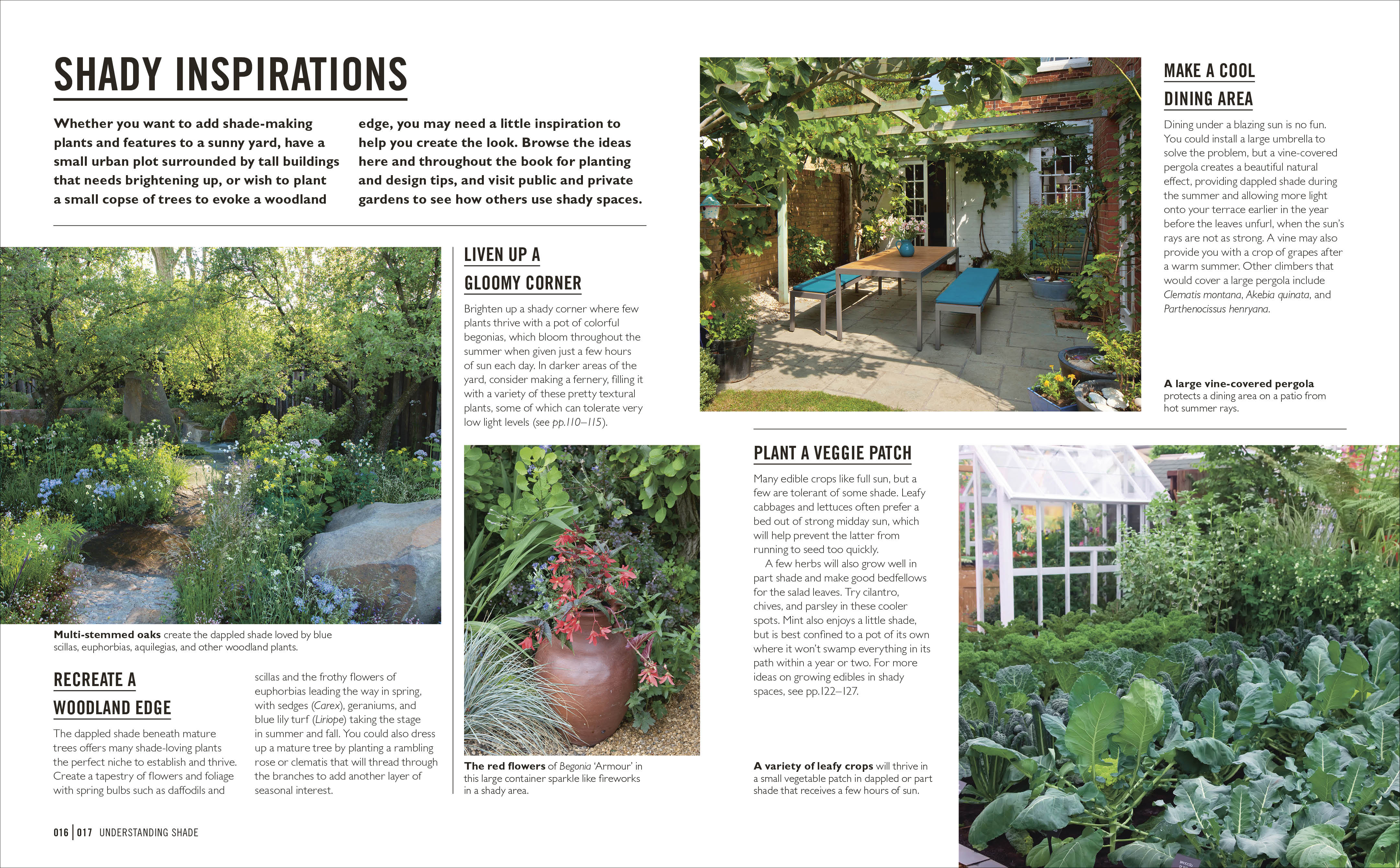 Grow Shade Garden - Image 3