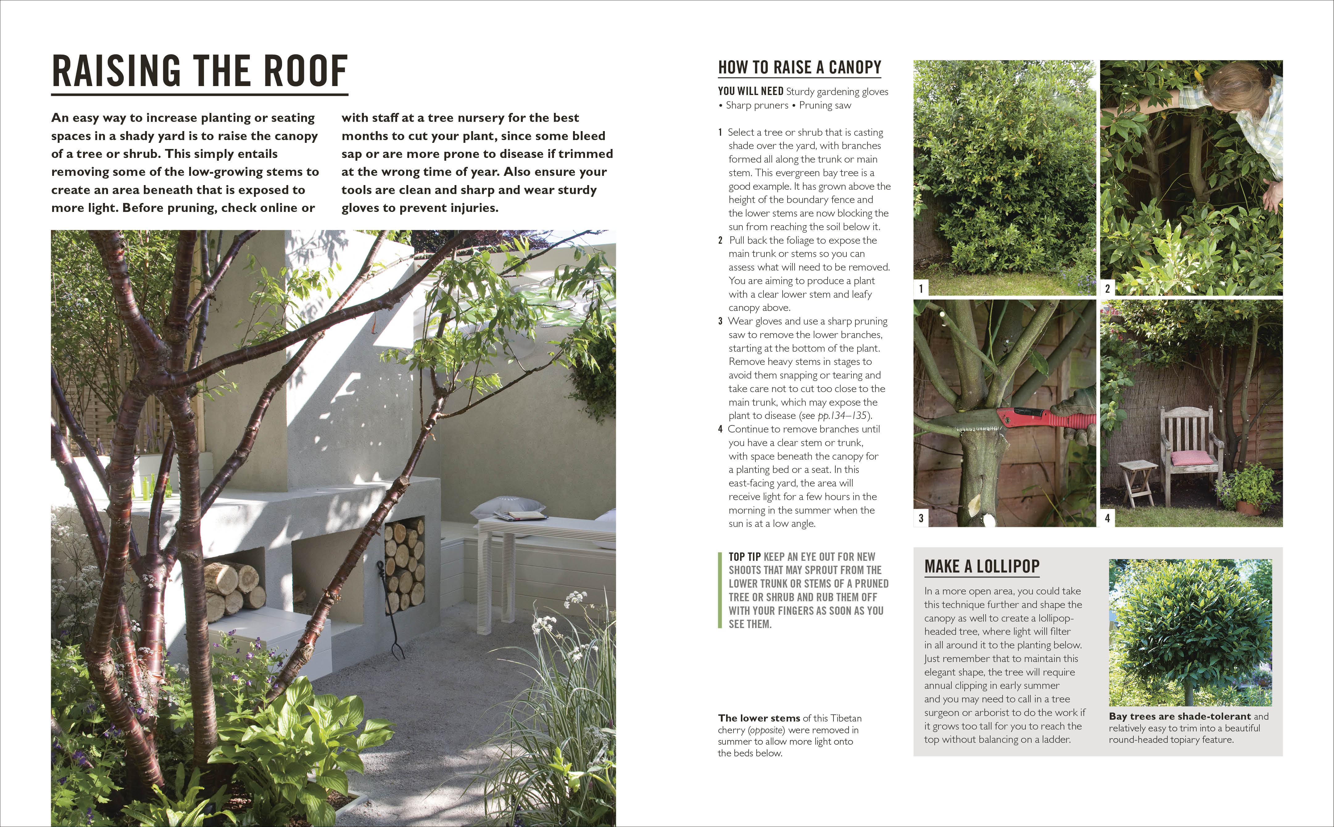 Grow Shade Garden - Image 4