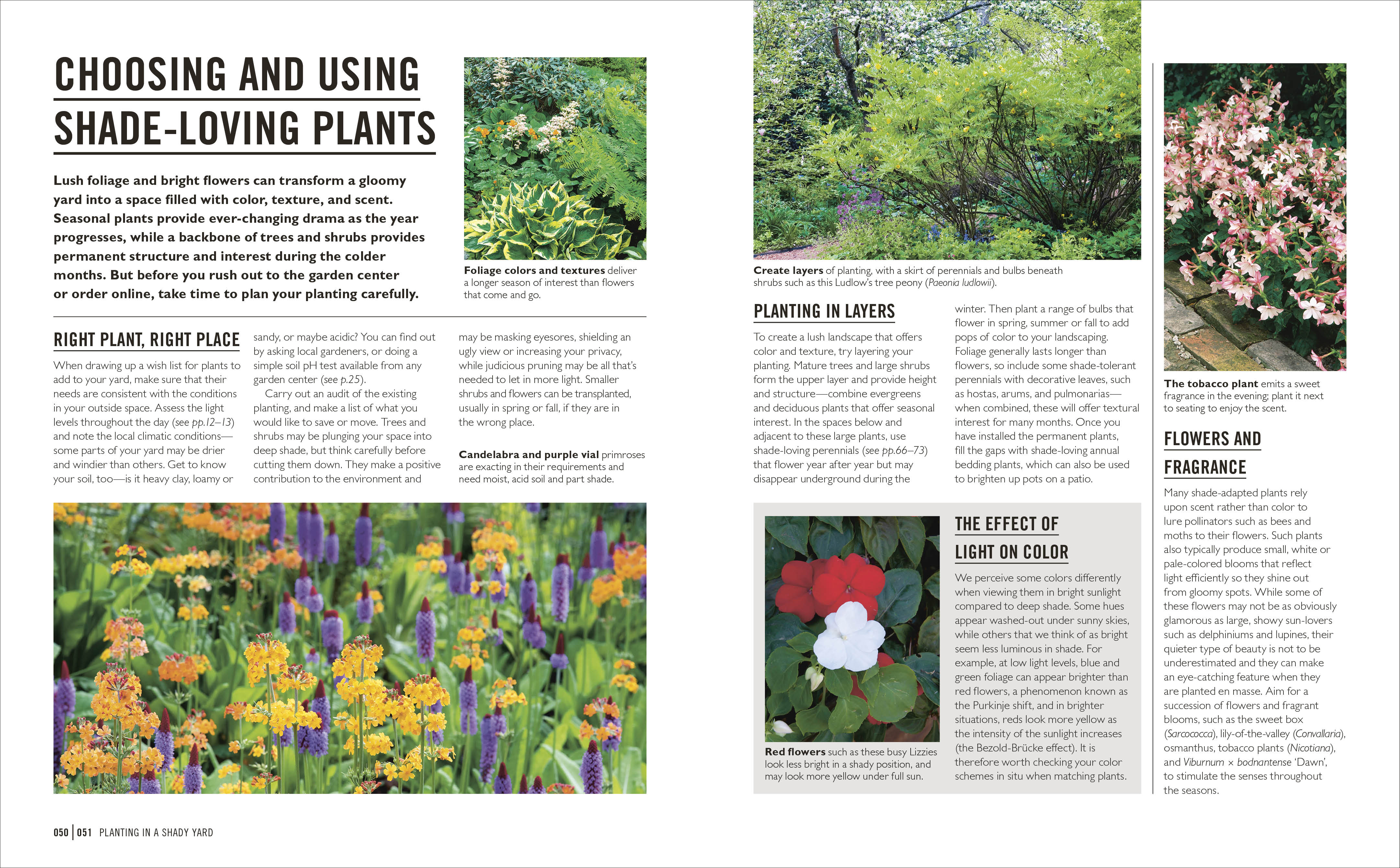 Grow Shade Garden - Image 5
