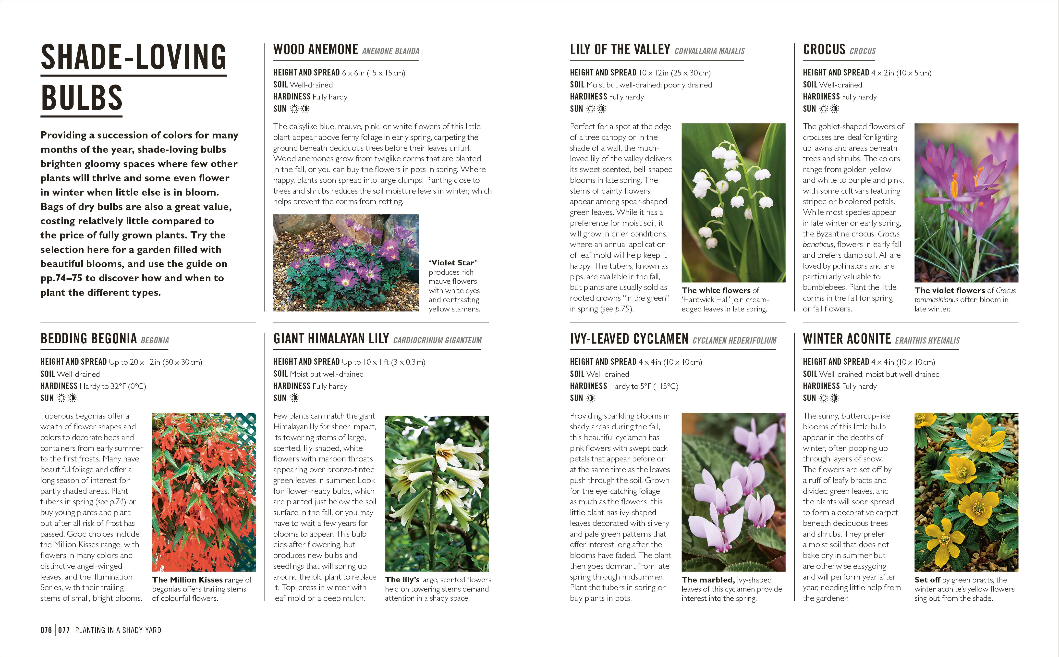 Grow Shade Garden - Image 6