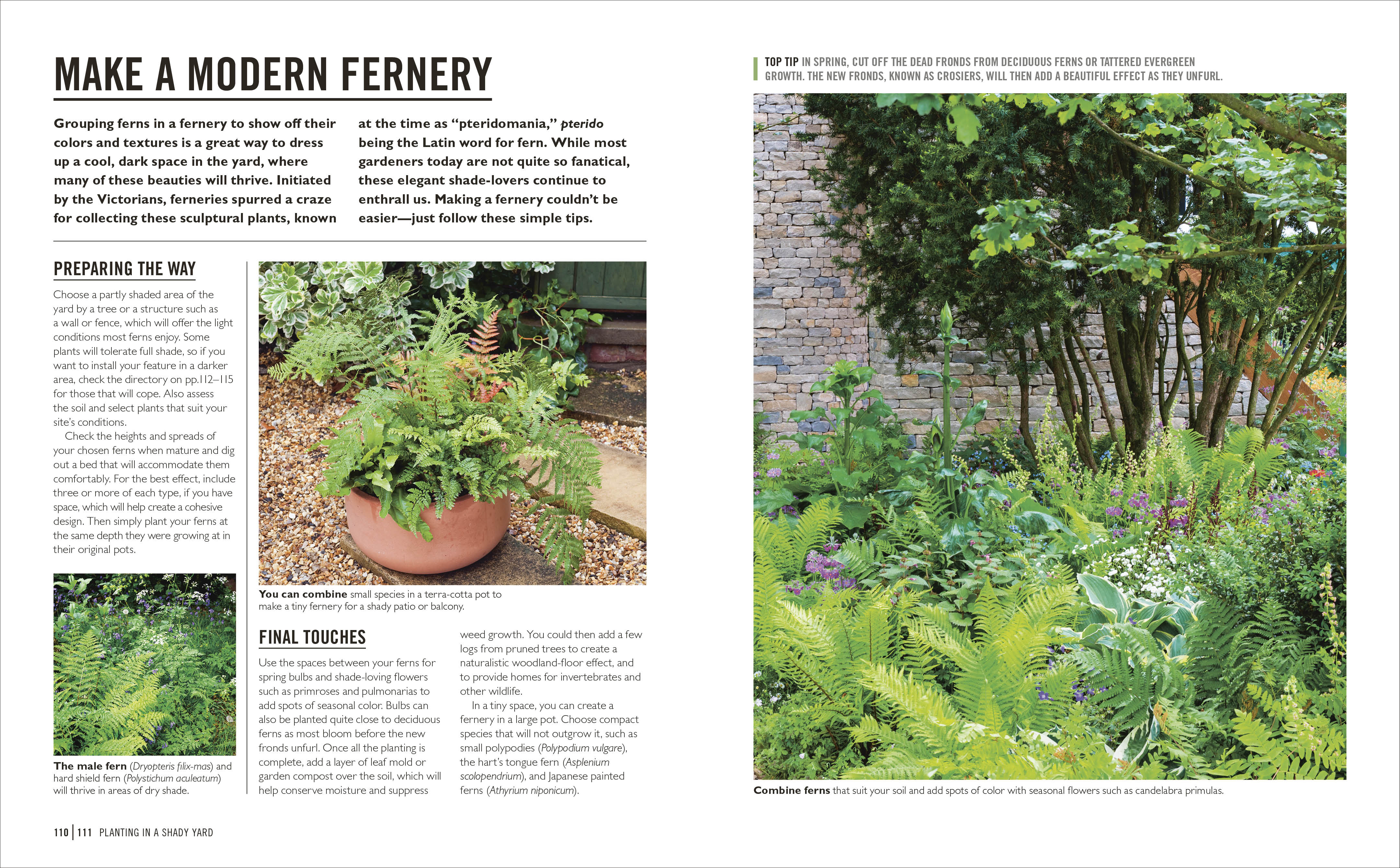 Grow Shade Garden - Image 7