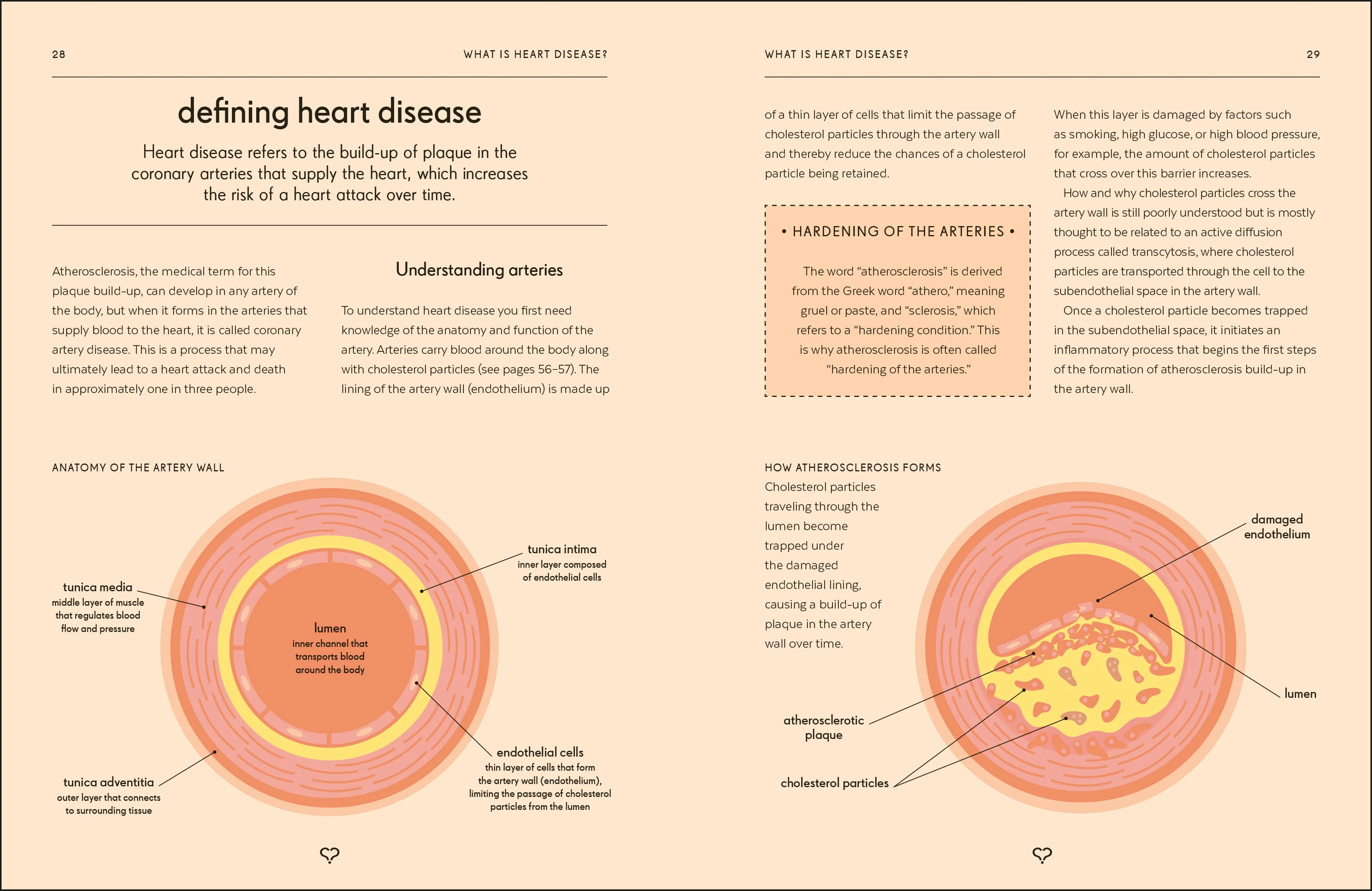 Heart - Image 4