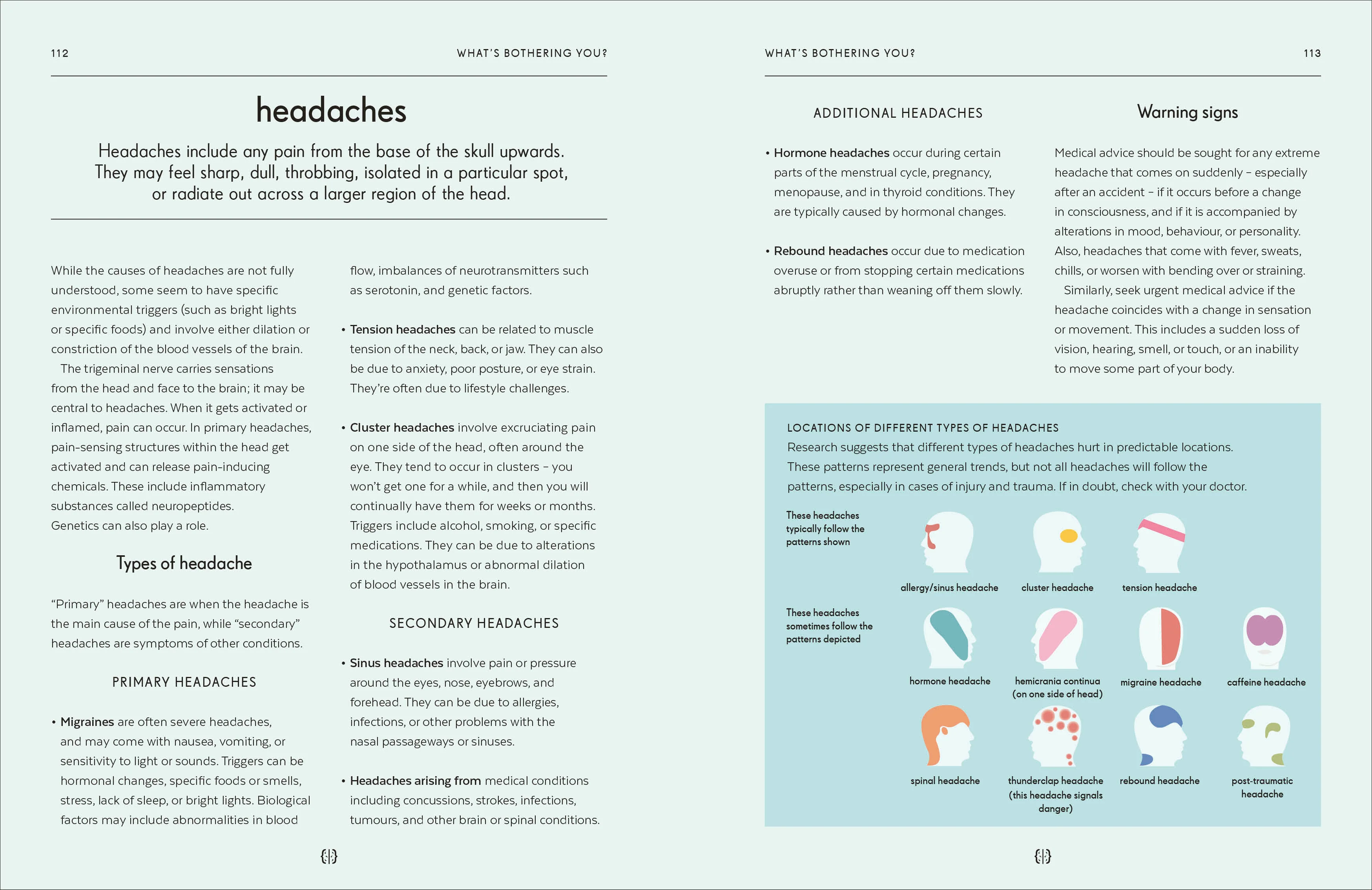 Brain - Image 6