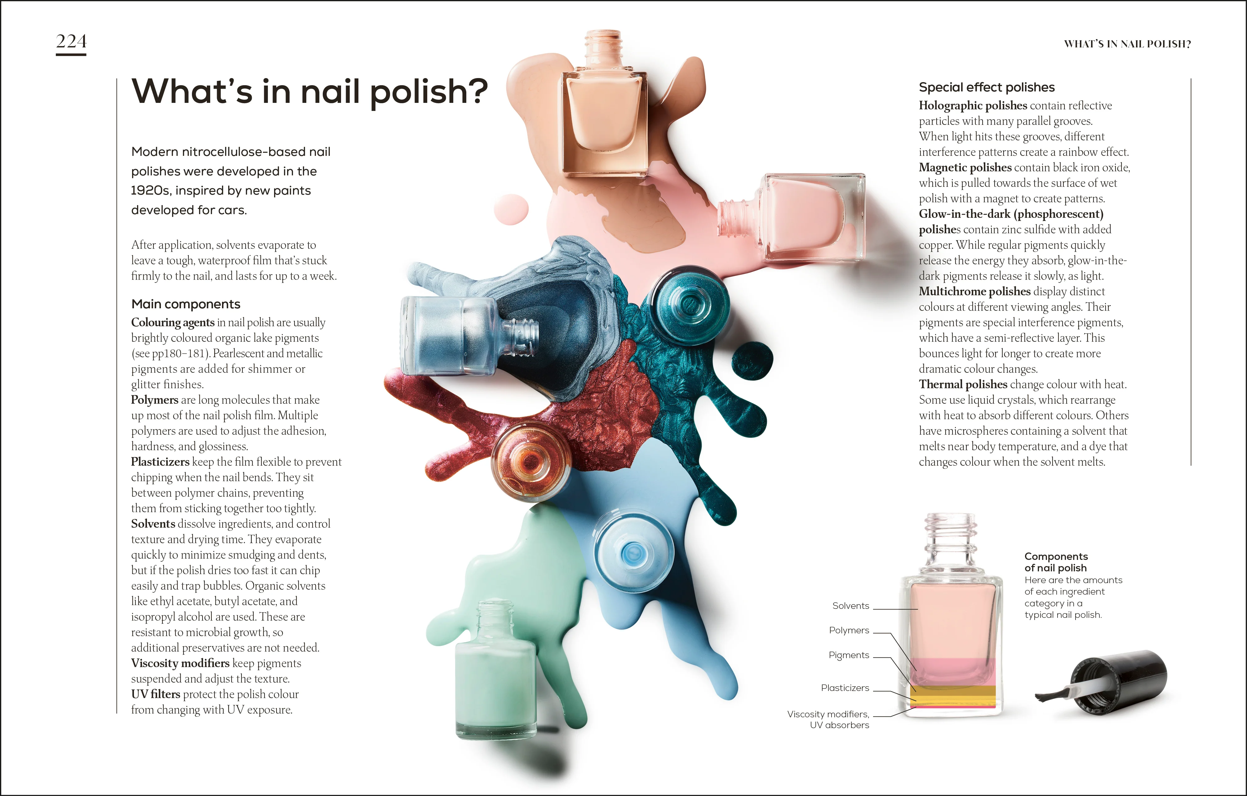 The Science of Beauty - Image 7