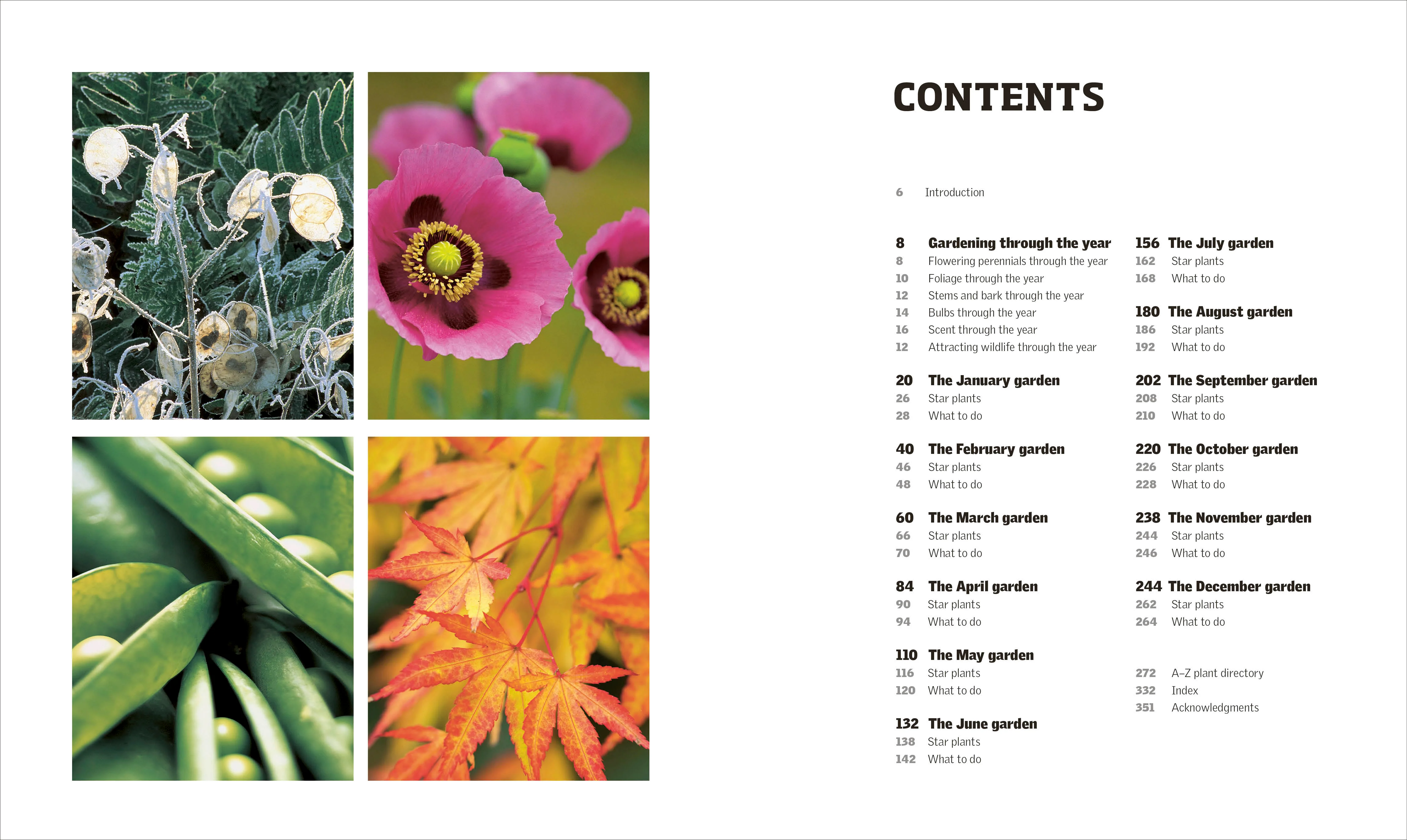 Gardening Through the Year - Image 2