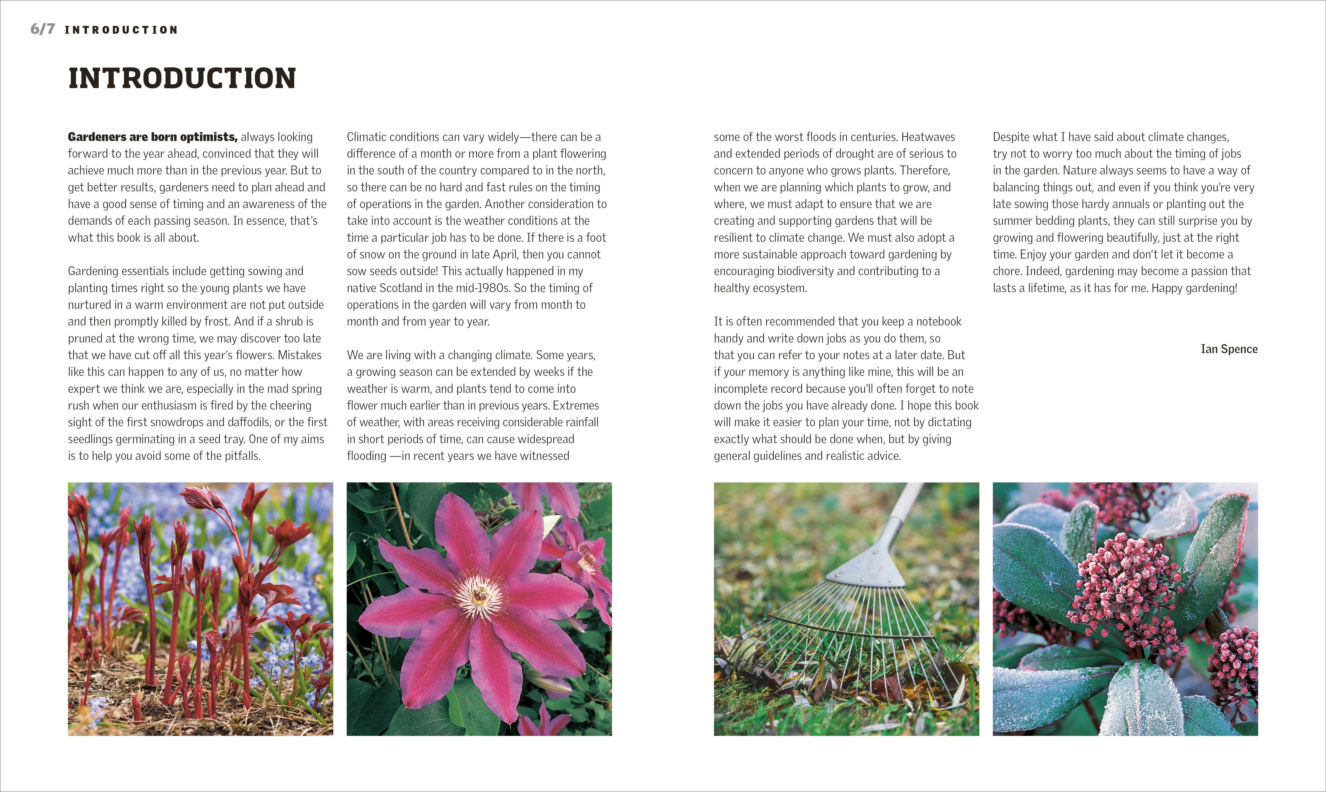 Gardening Through the Year - Image 3