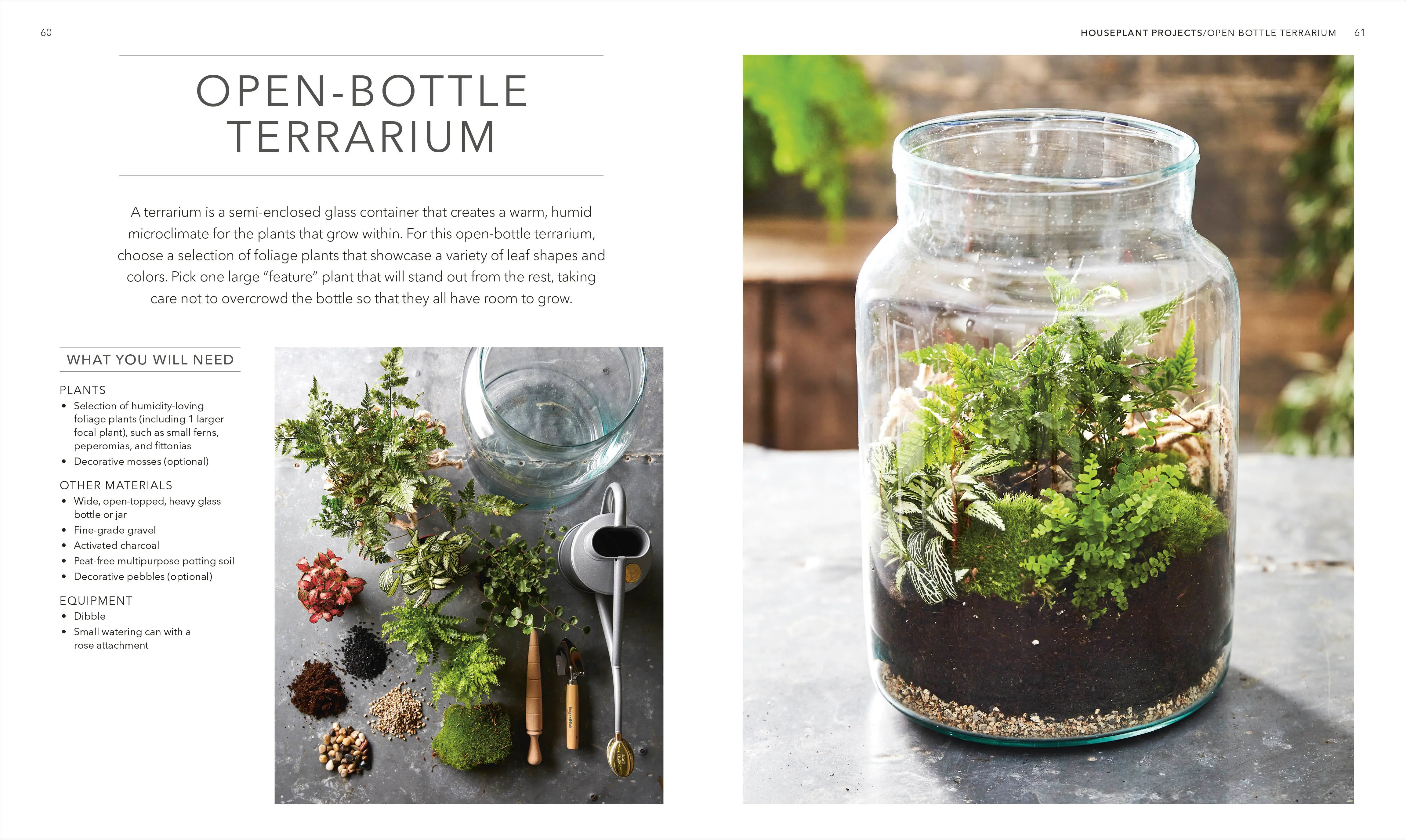 Houseplant - Image 3