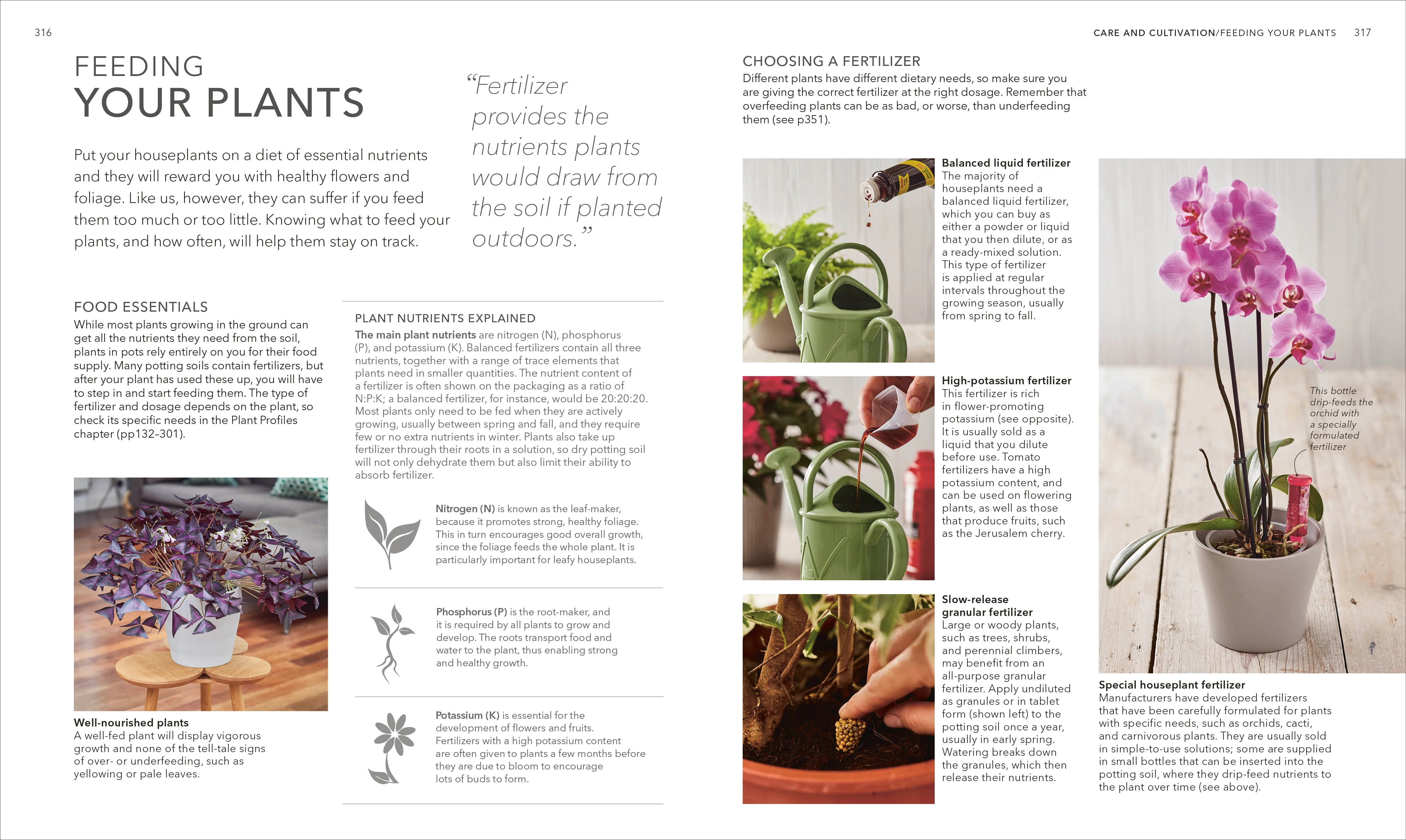 Houseplant - Image 7