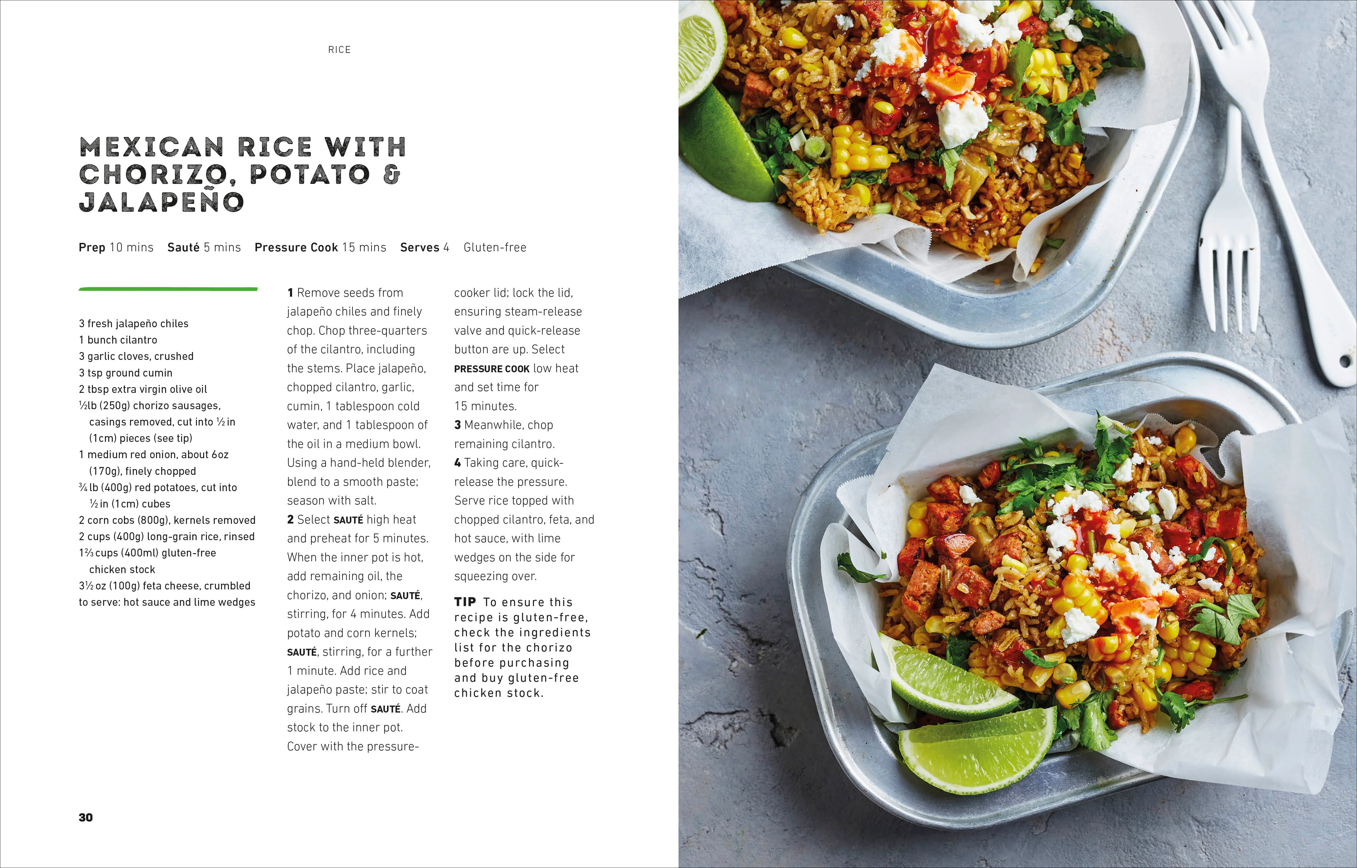 The Complete Instant Pot Cookbook - Image 4