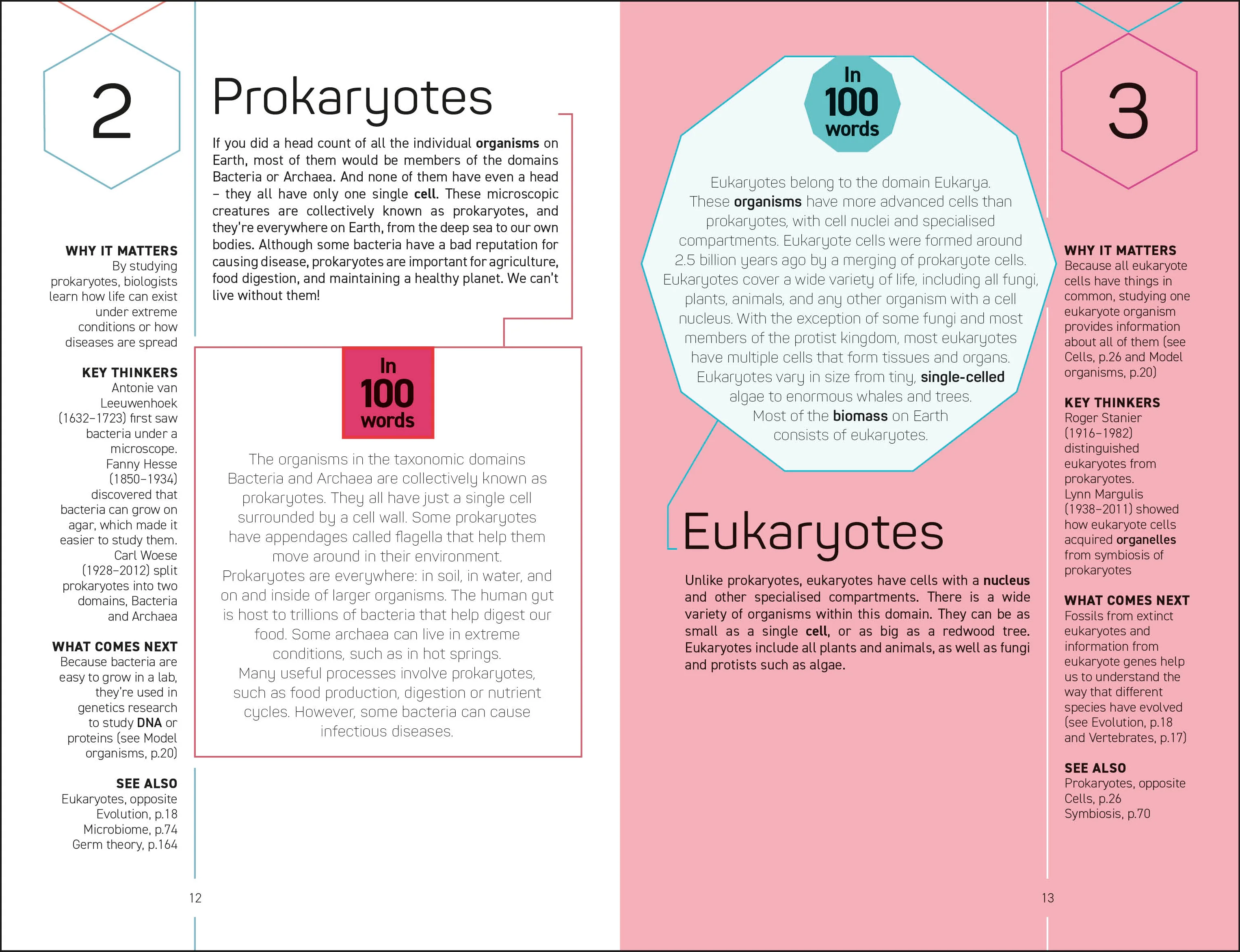 100 Biology Ideas in 100 Words - Image 4