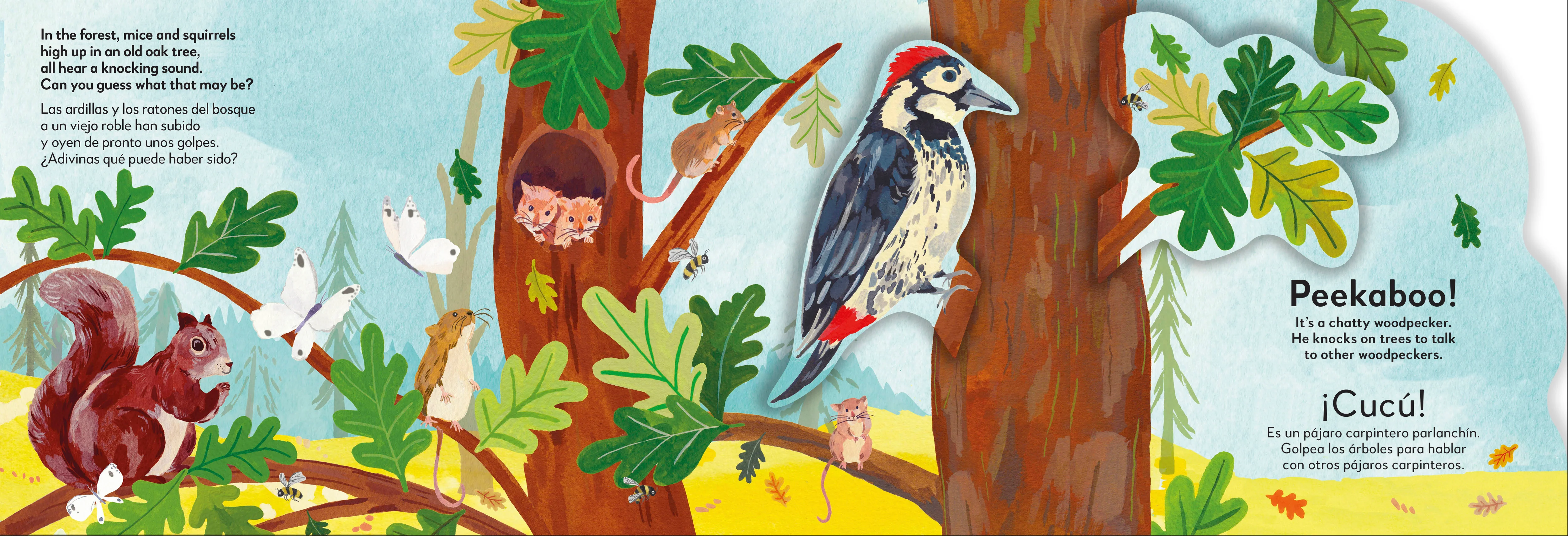 Bilingual Pop-Up Peekaboo! Forest - El bosque - Image 3