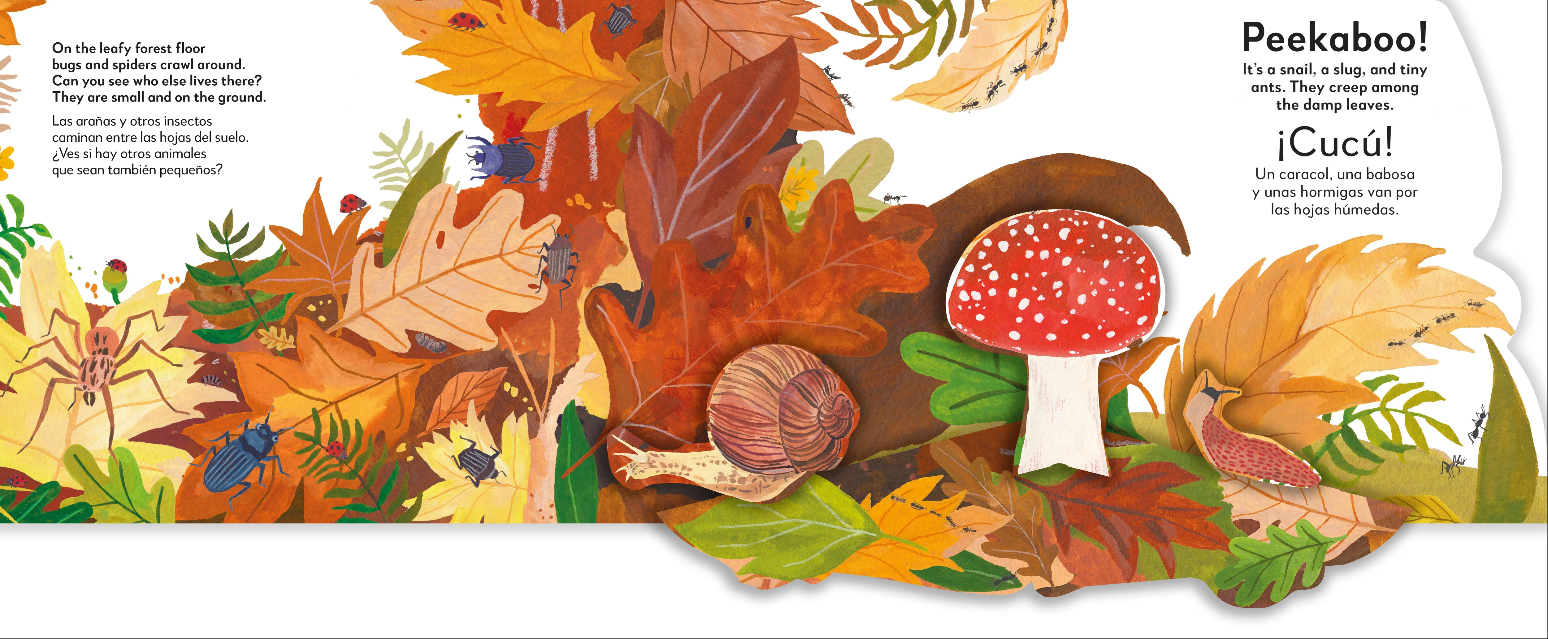 Bilingual Pop-Up Peekaboo! Forest - El bosque - Image 5