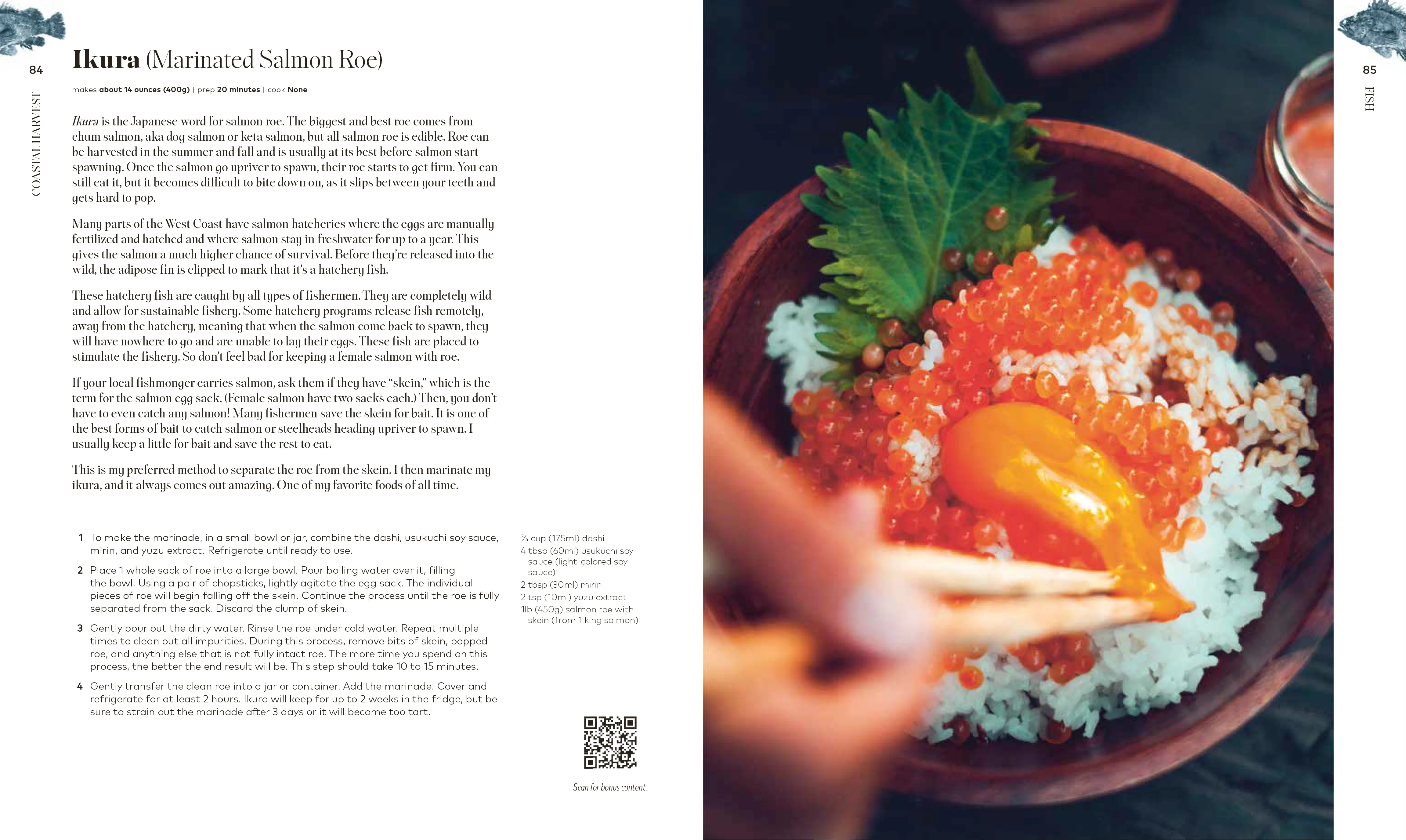 Coastal Harvest - Image 4