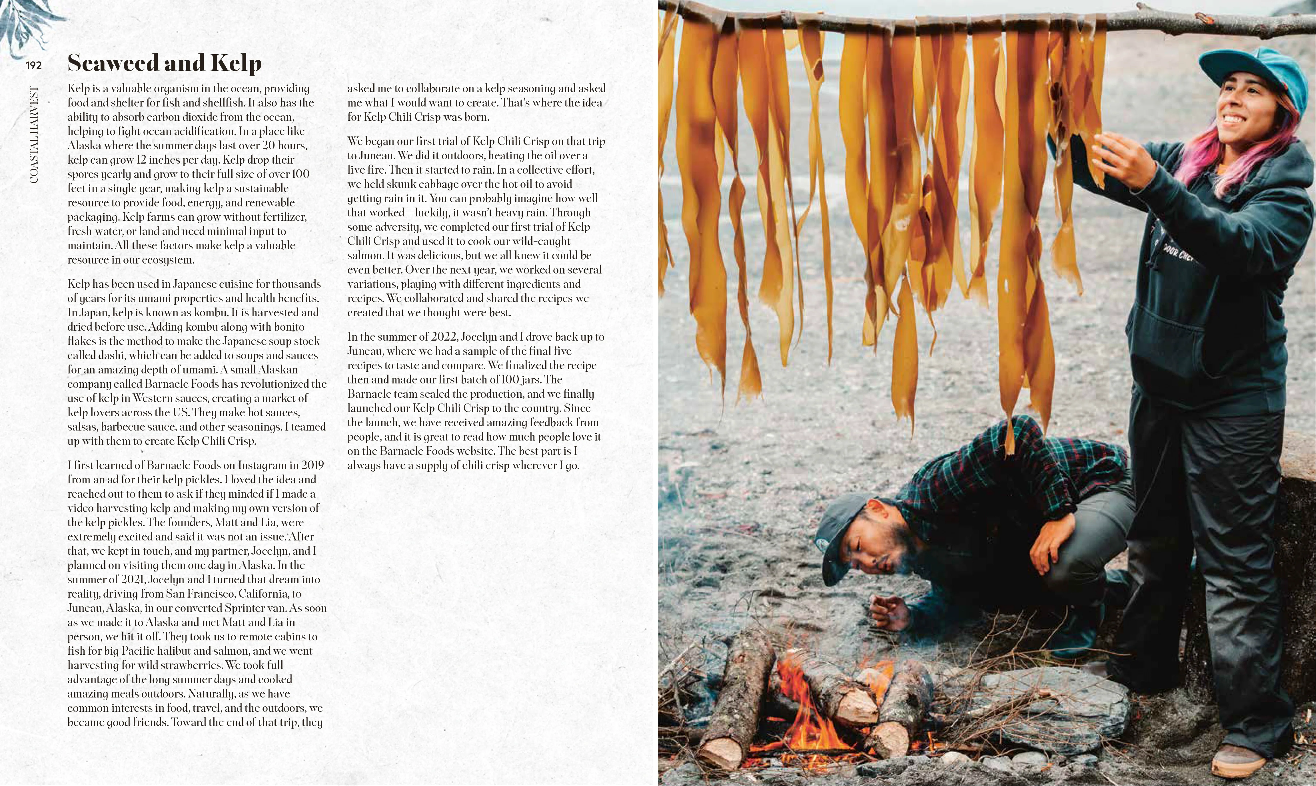 Coastal Harvest - Image 8