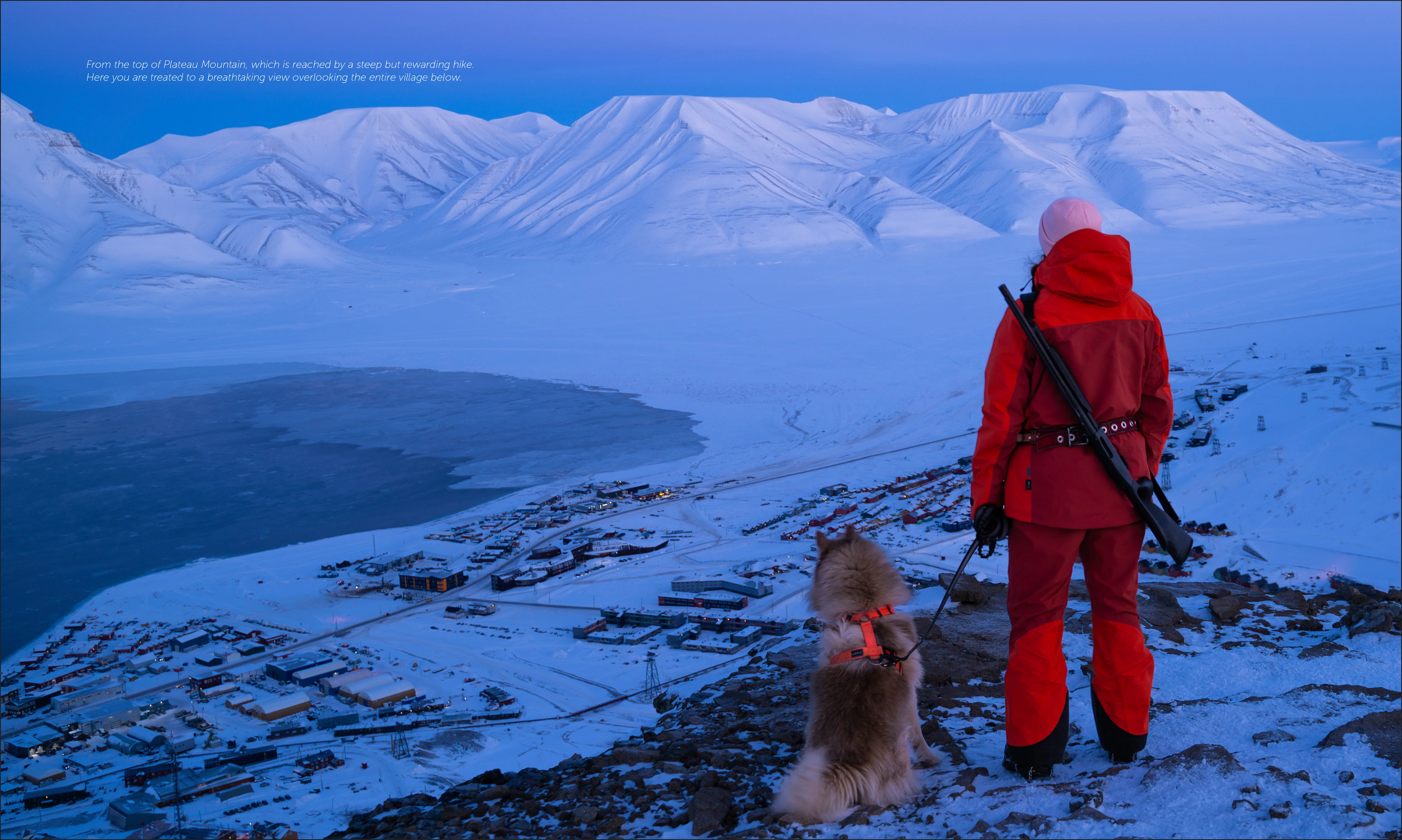 Life on Svalbard - Image 6