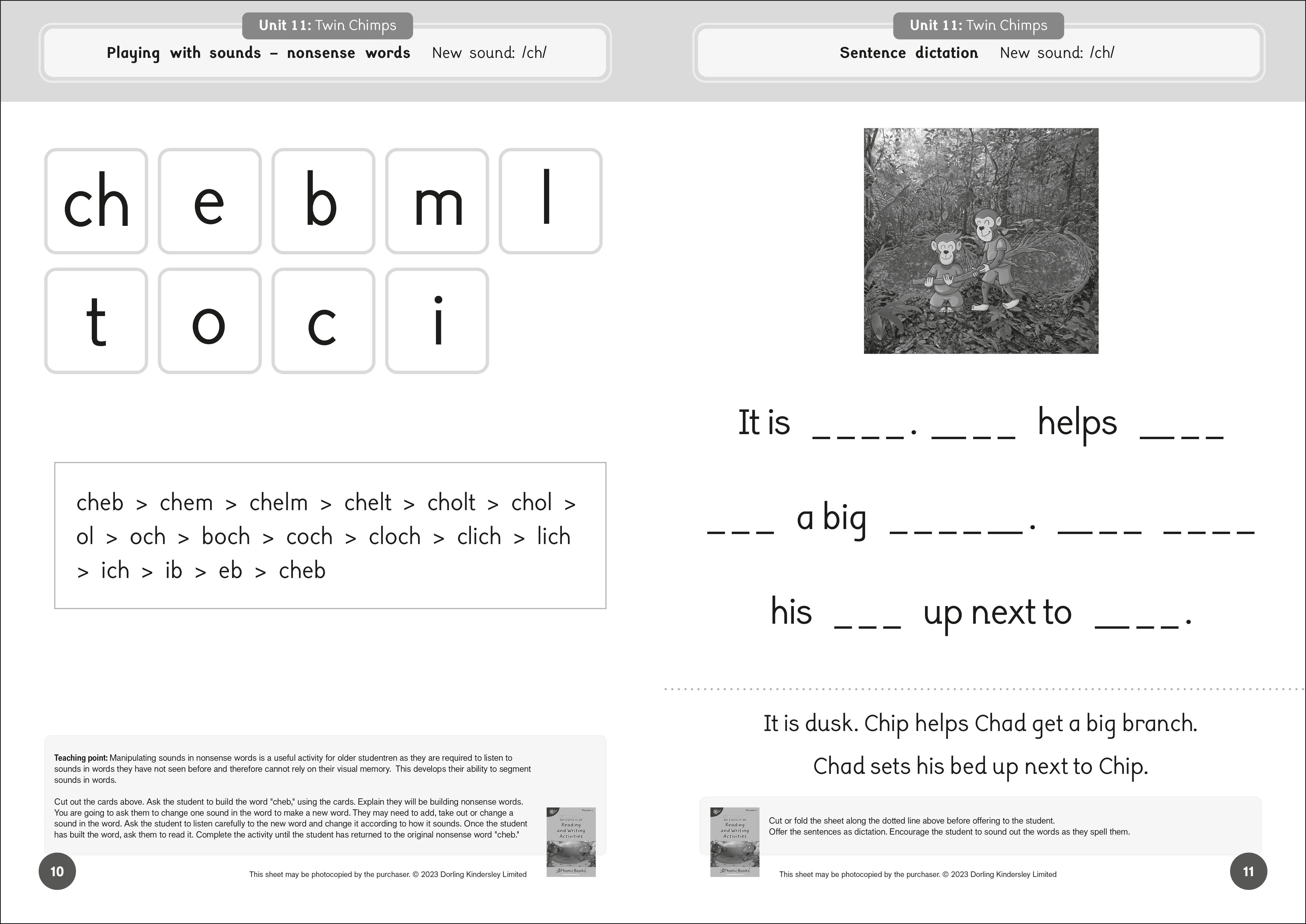Phonic Books Dandelion Readers Reading and Writing Activities Set 2 Units 11-20 - Image 3
