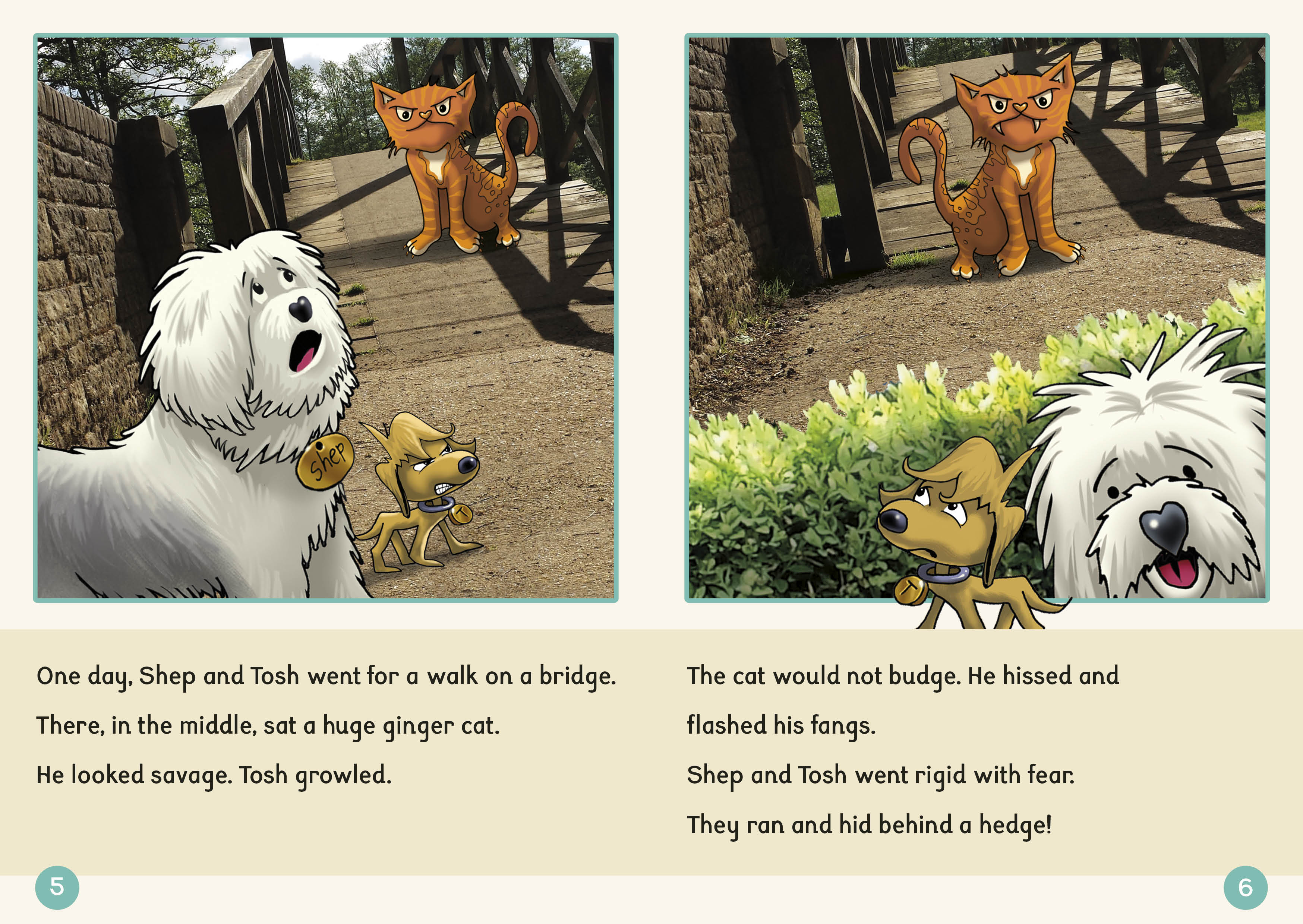 Phonic Books Dandelion Readers Further Spellings and Suffixes Level 4 - Image 3