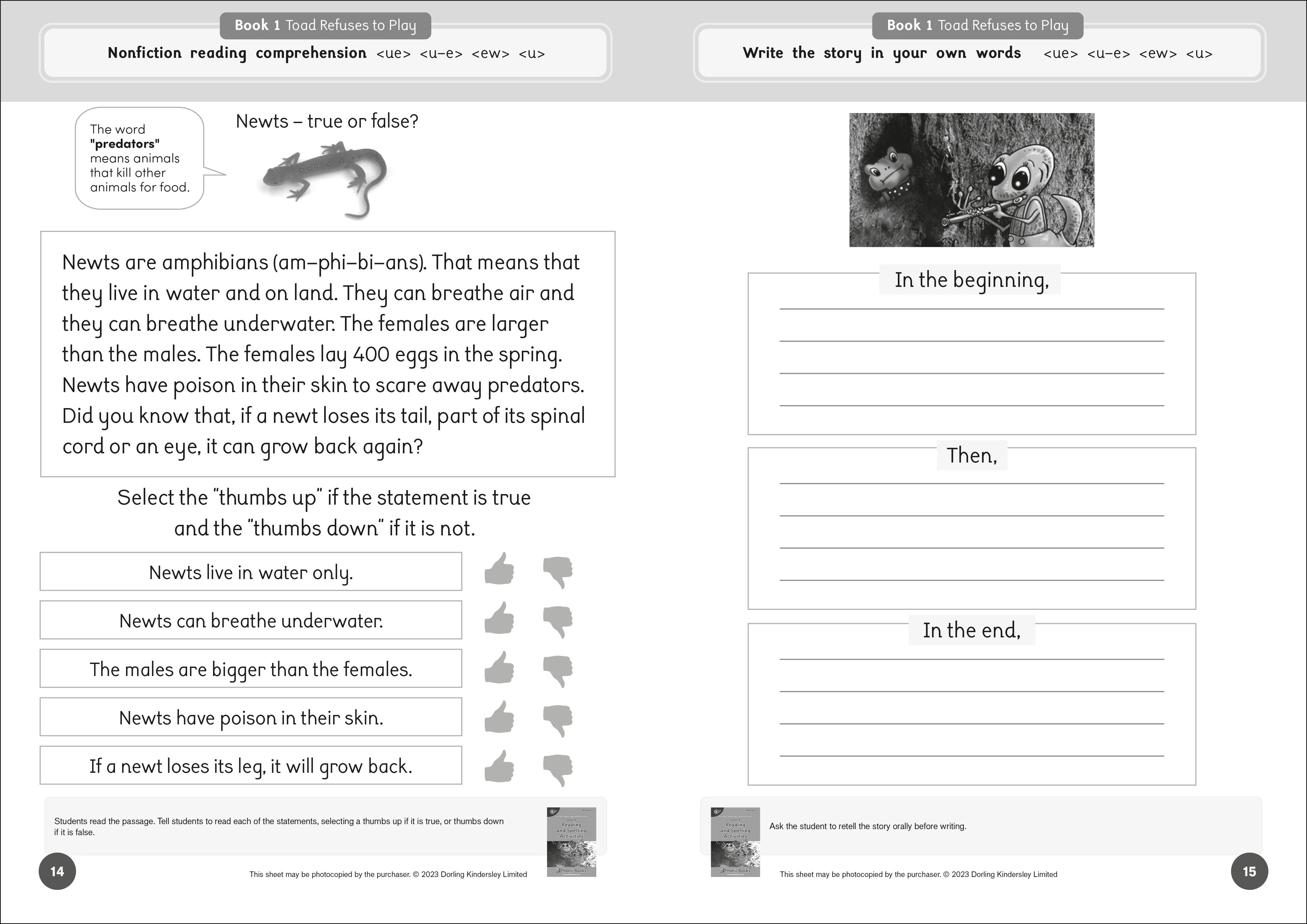 Phonic Books Dandelion Readers Reading and Spelling Activities Further Spellings and Suffixes Level 4 - Image 3
