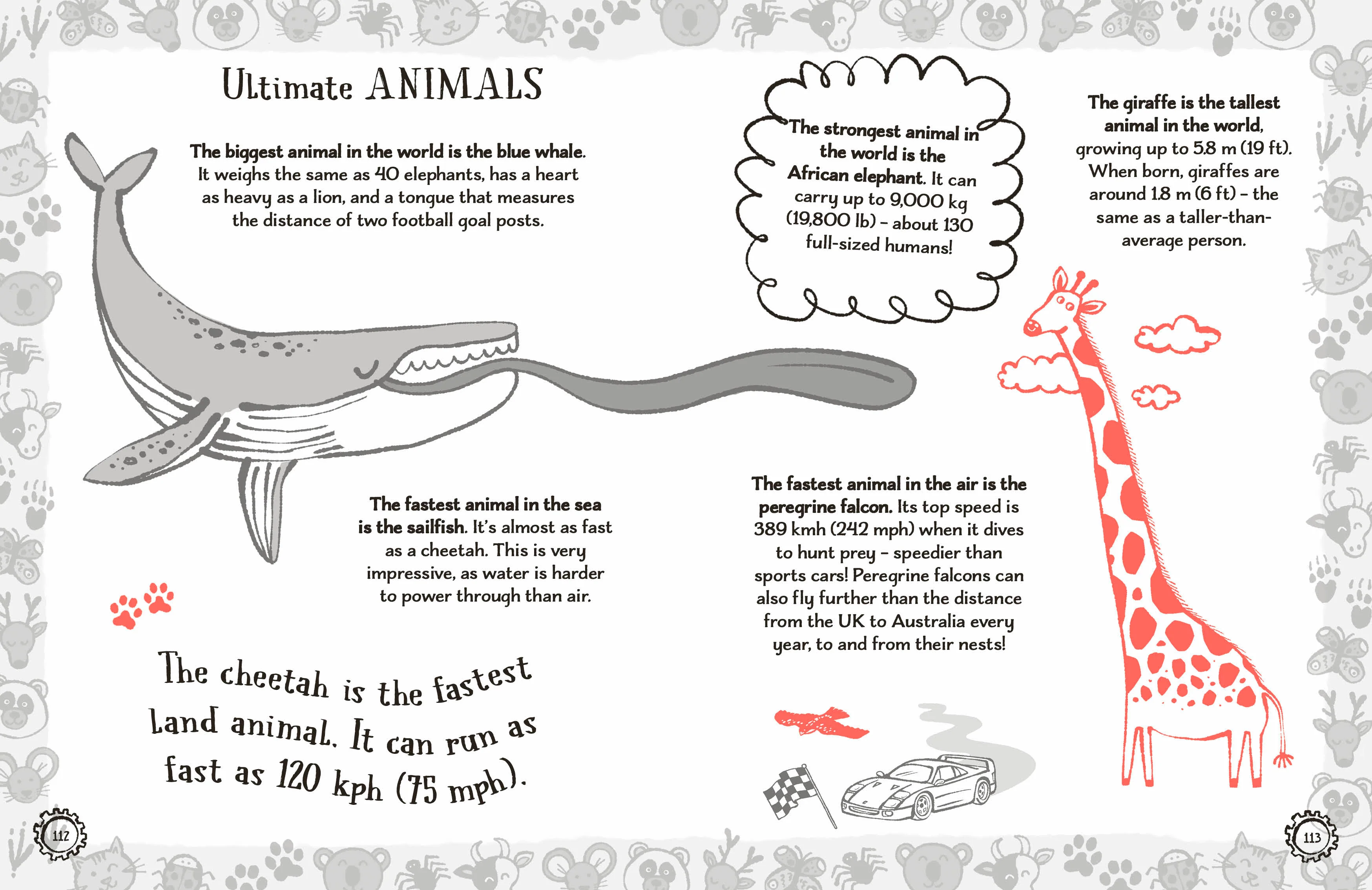 Radzi's Incredible Facts - Image 4