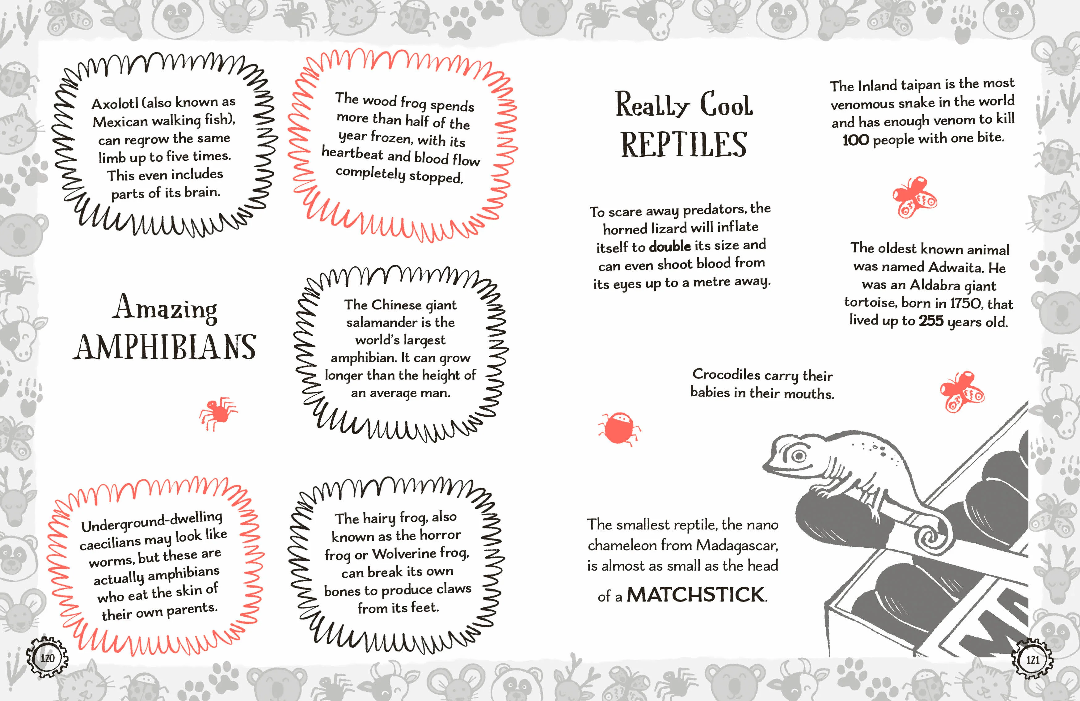Radzi's Incredible Facts - Image 5