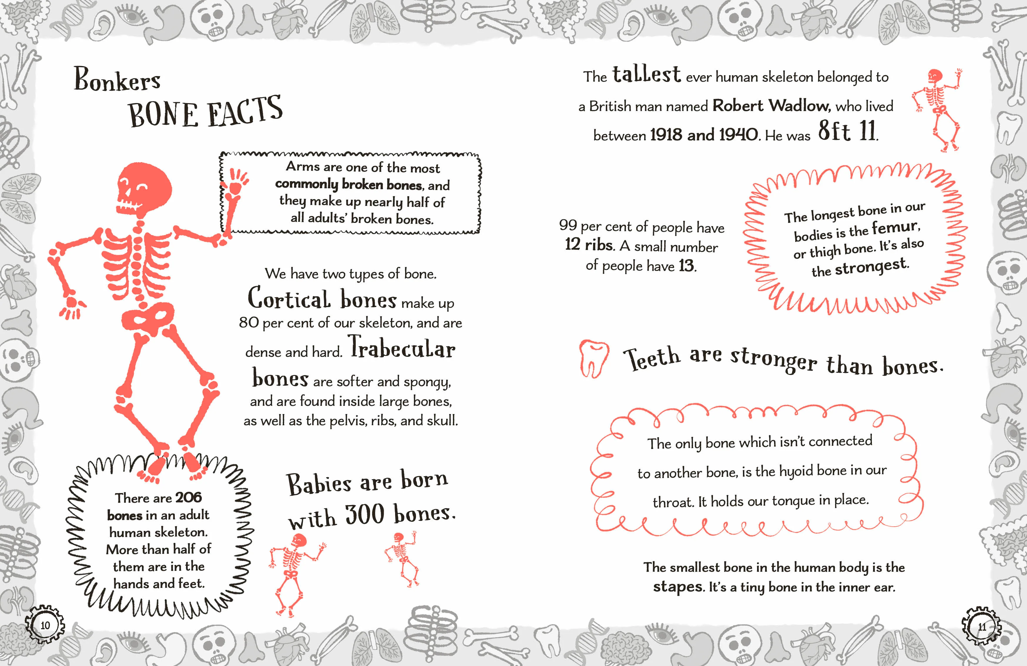Radzi's Incredible Facts - Image 6
