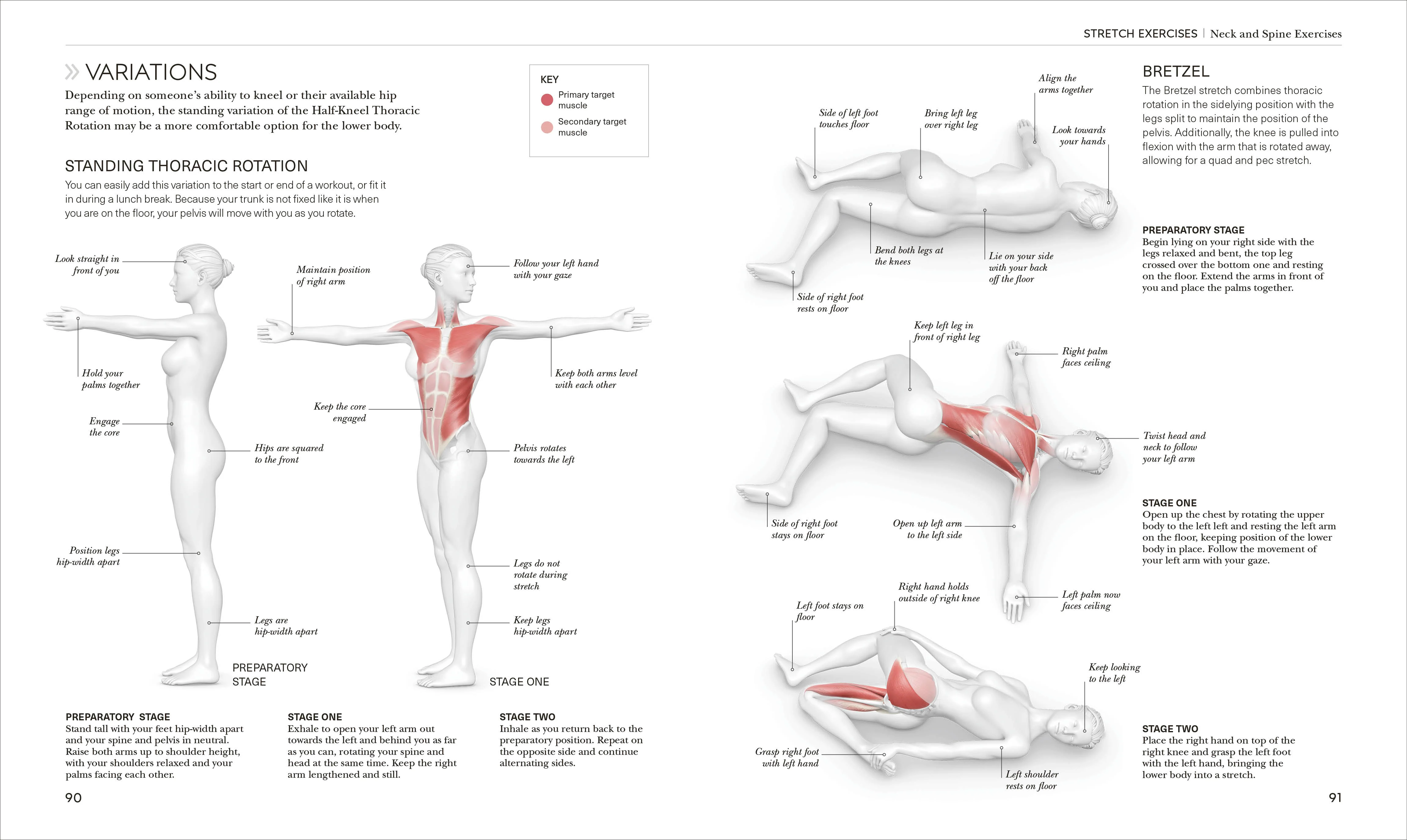 Science of Stretch - Image 11
