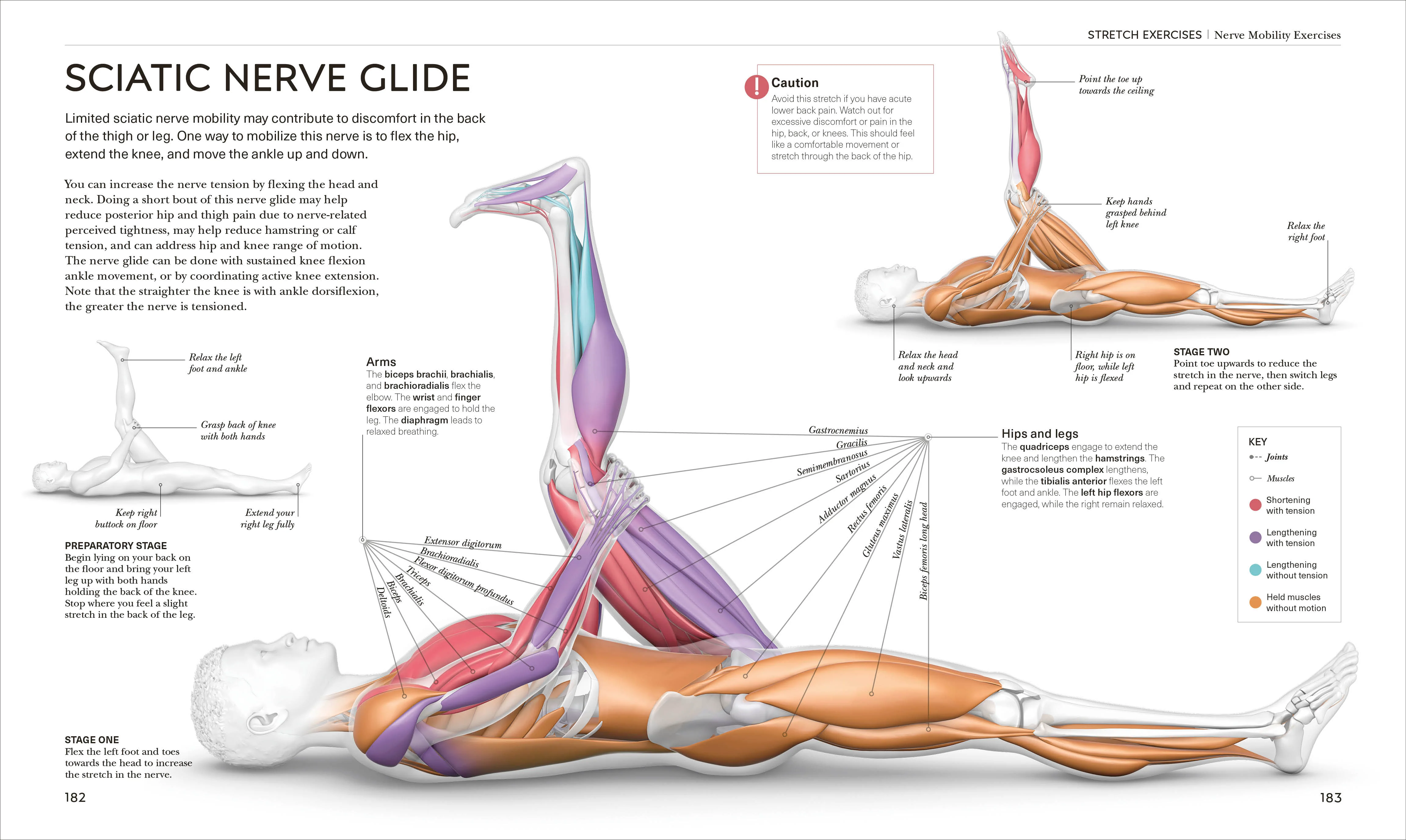 Science of Stretch - Image 12