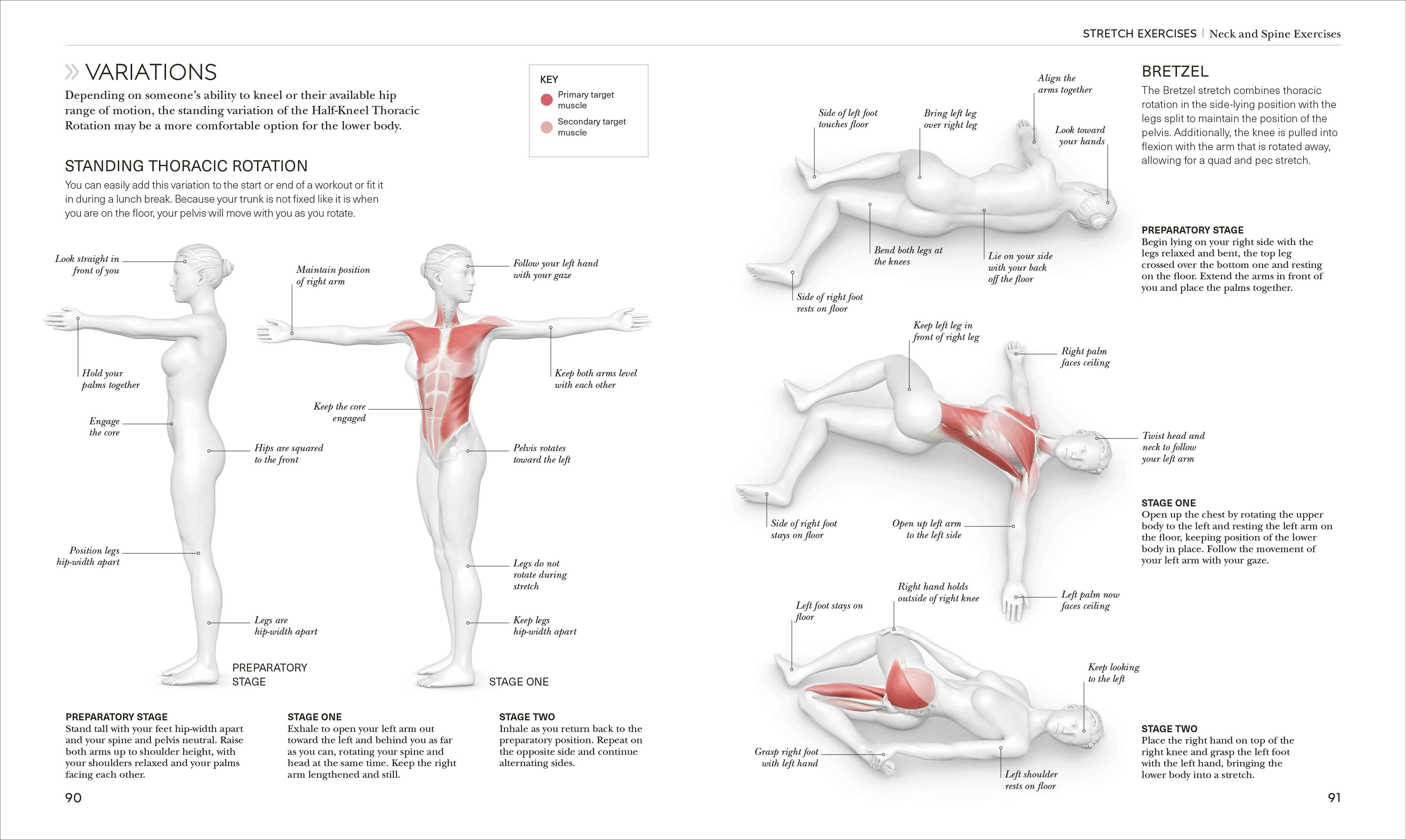 Science of Stretch - Image 5